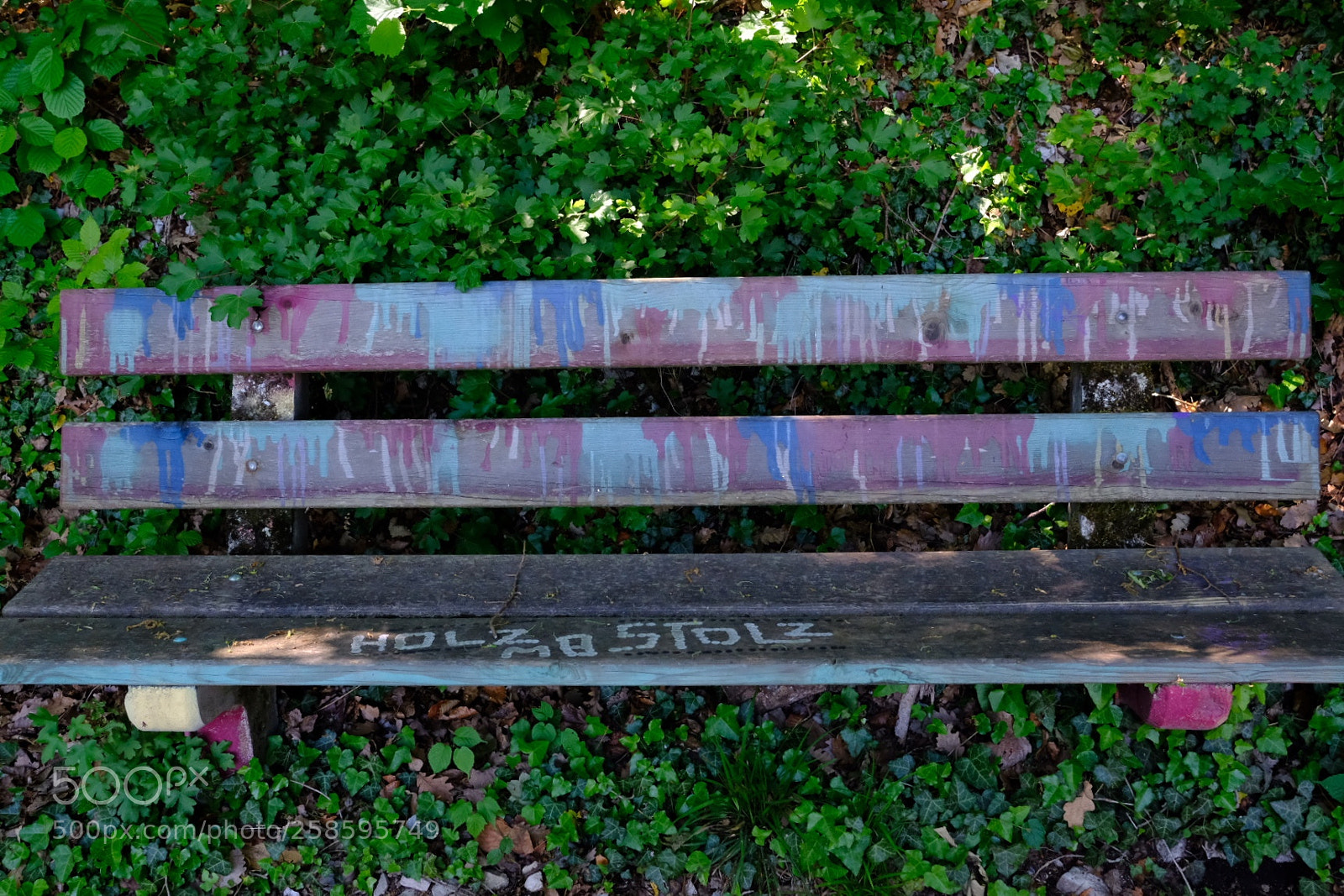 Fujifilm X-E3 sample photo. Bunt photography