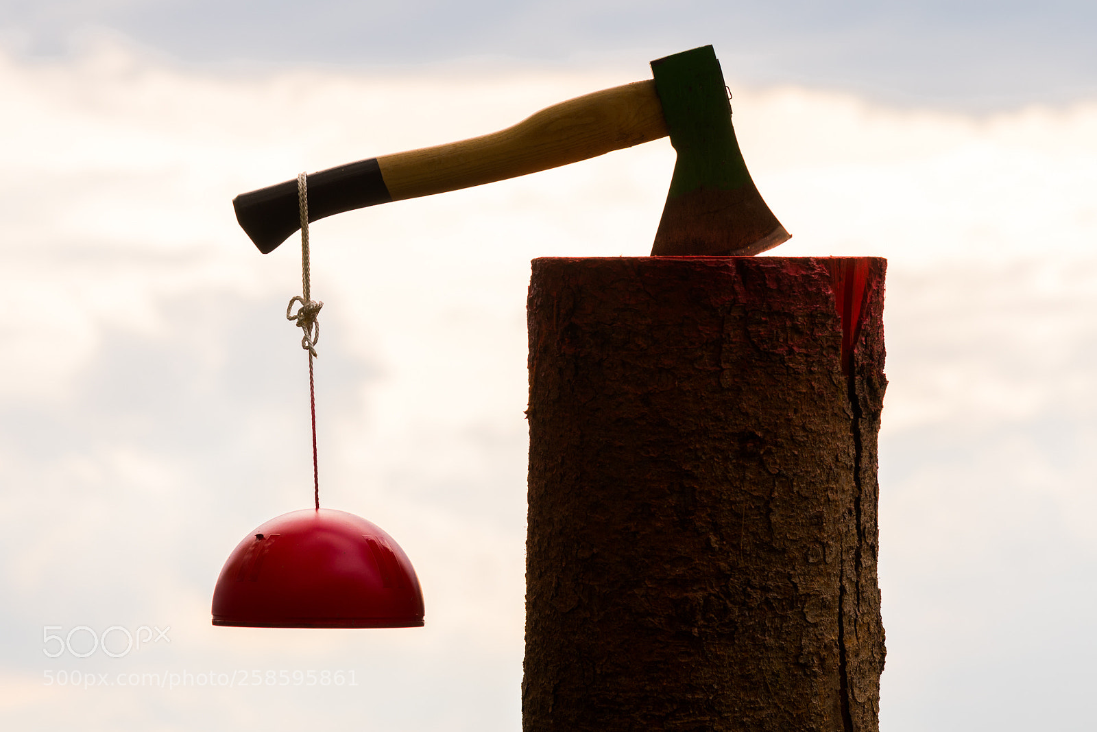 Nikon D7500 sample photo. Still life photography