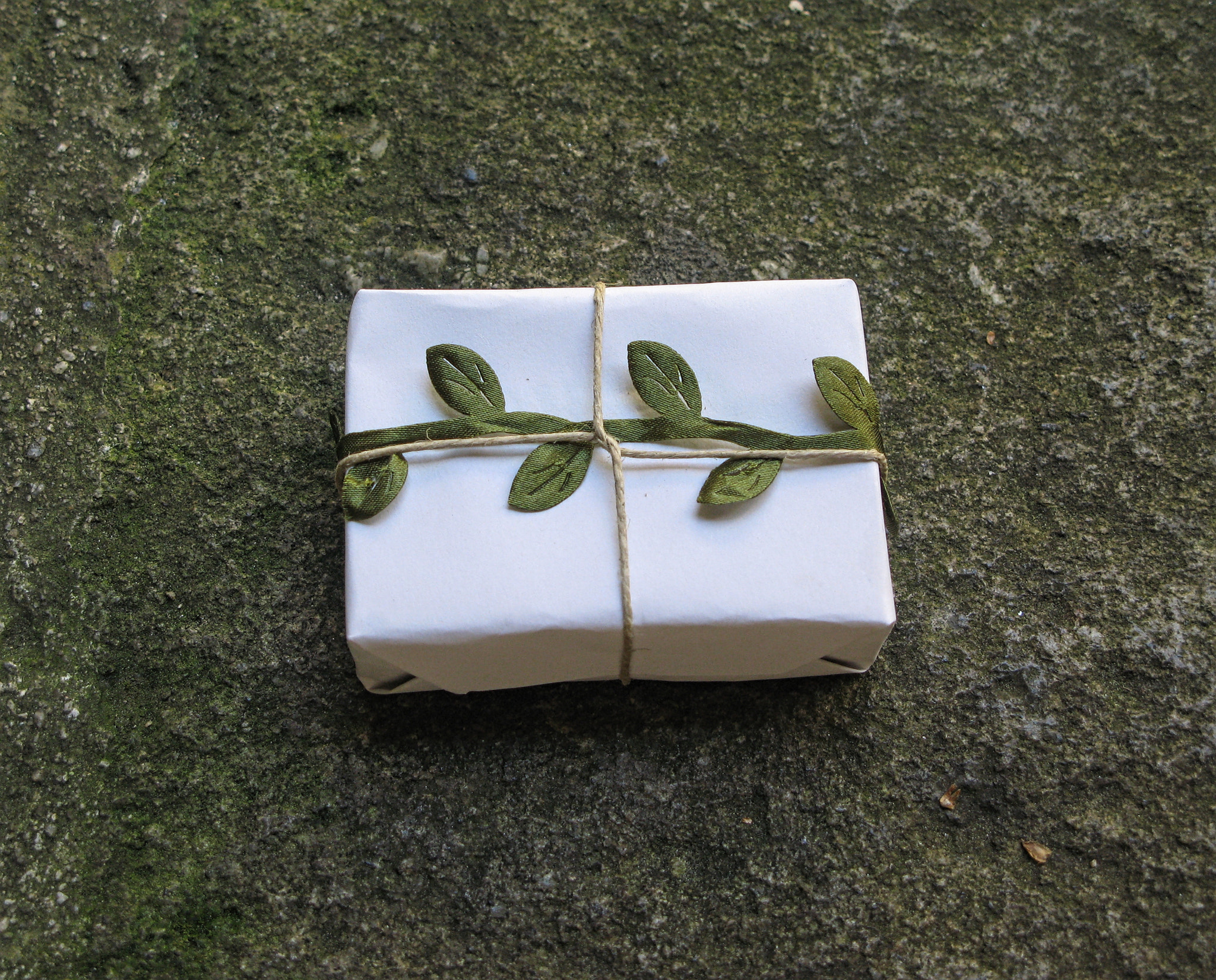 Canon POWERSHOT G7 sample photo. The gift photography