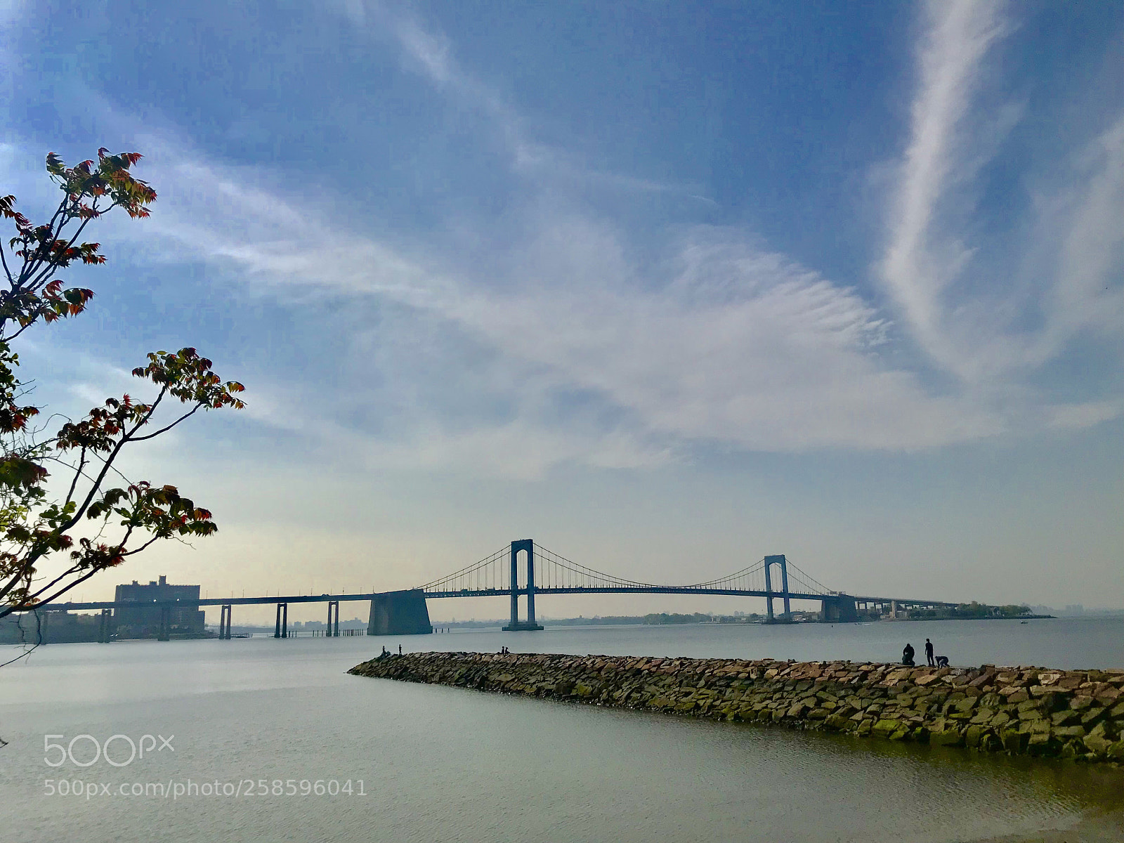 Apple iPhone 7 Plus sample photo. Throgneck bridge  photography