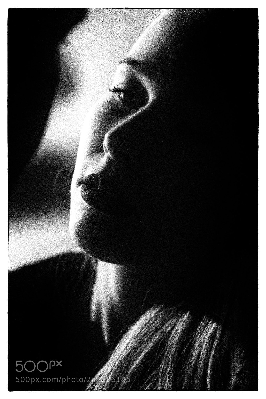 Nikon D500 sample photo. Film noir in love photography