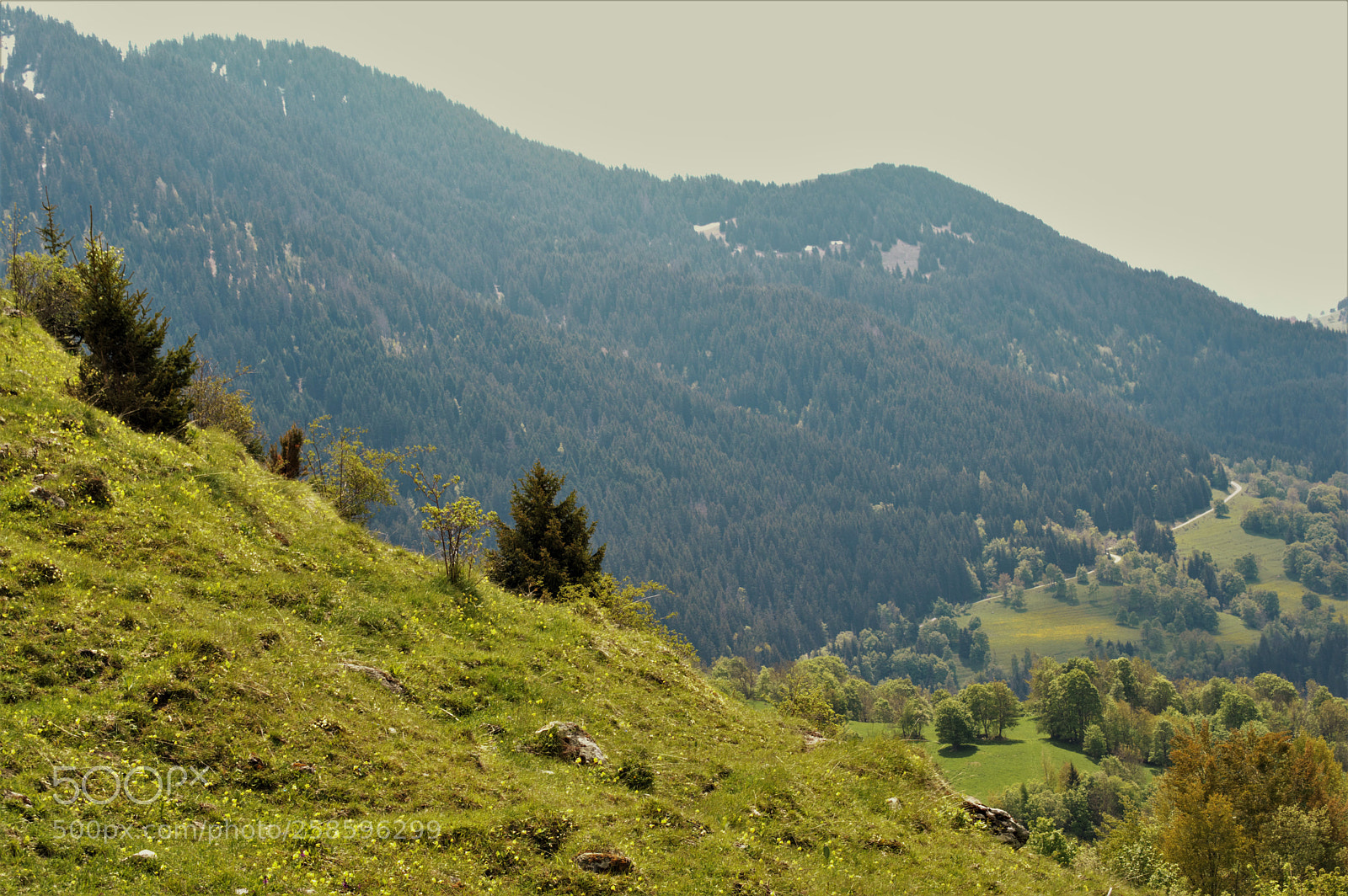 Nikon D3200 sample photo. Untitled photography