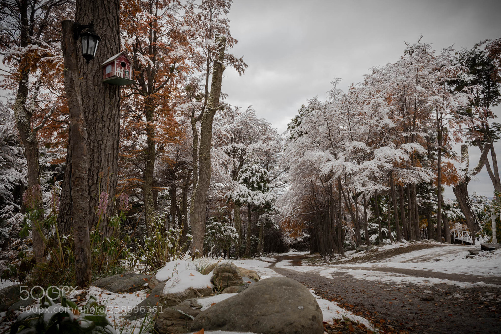 Nikon D7500 sample photo. M gico oto o photography