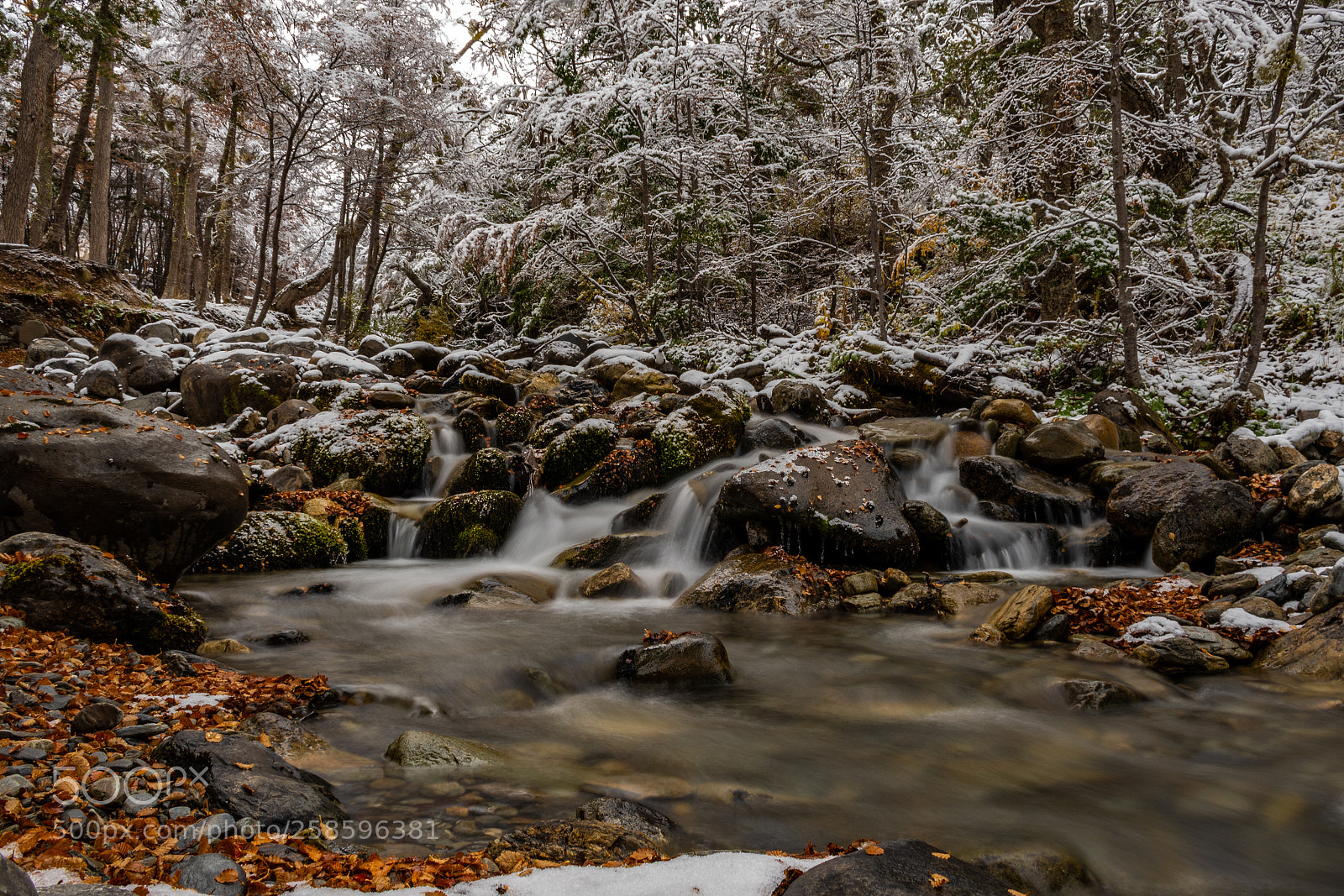 Nikon D7500 sample photo. Maravilla natural photography