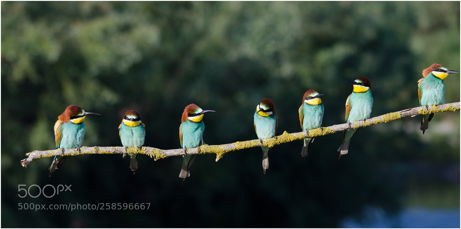 Nikon D7000 sample photo. The fab seven photography
