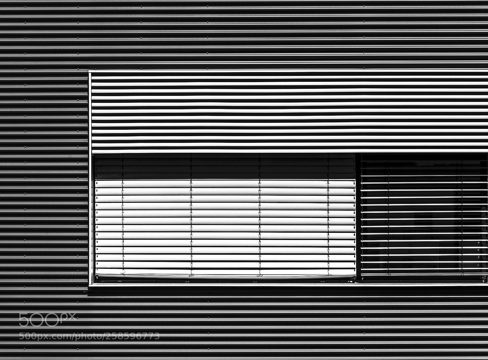 Nikon D610 sample photo. Greytone horizontals photography