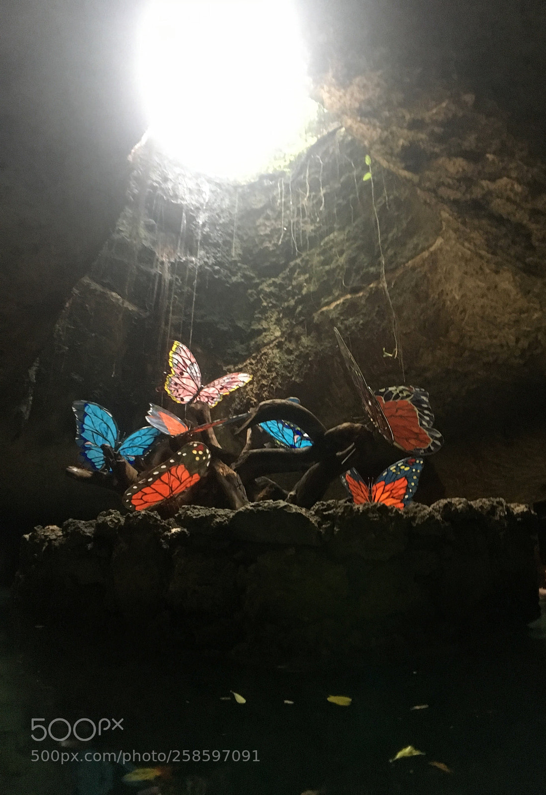 Apple iPhone 6s sample photo. Butterflies cave photography