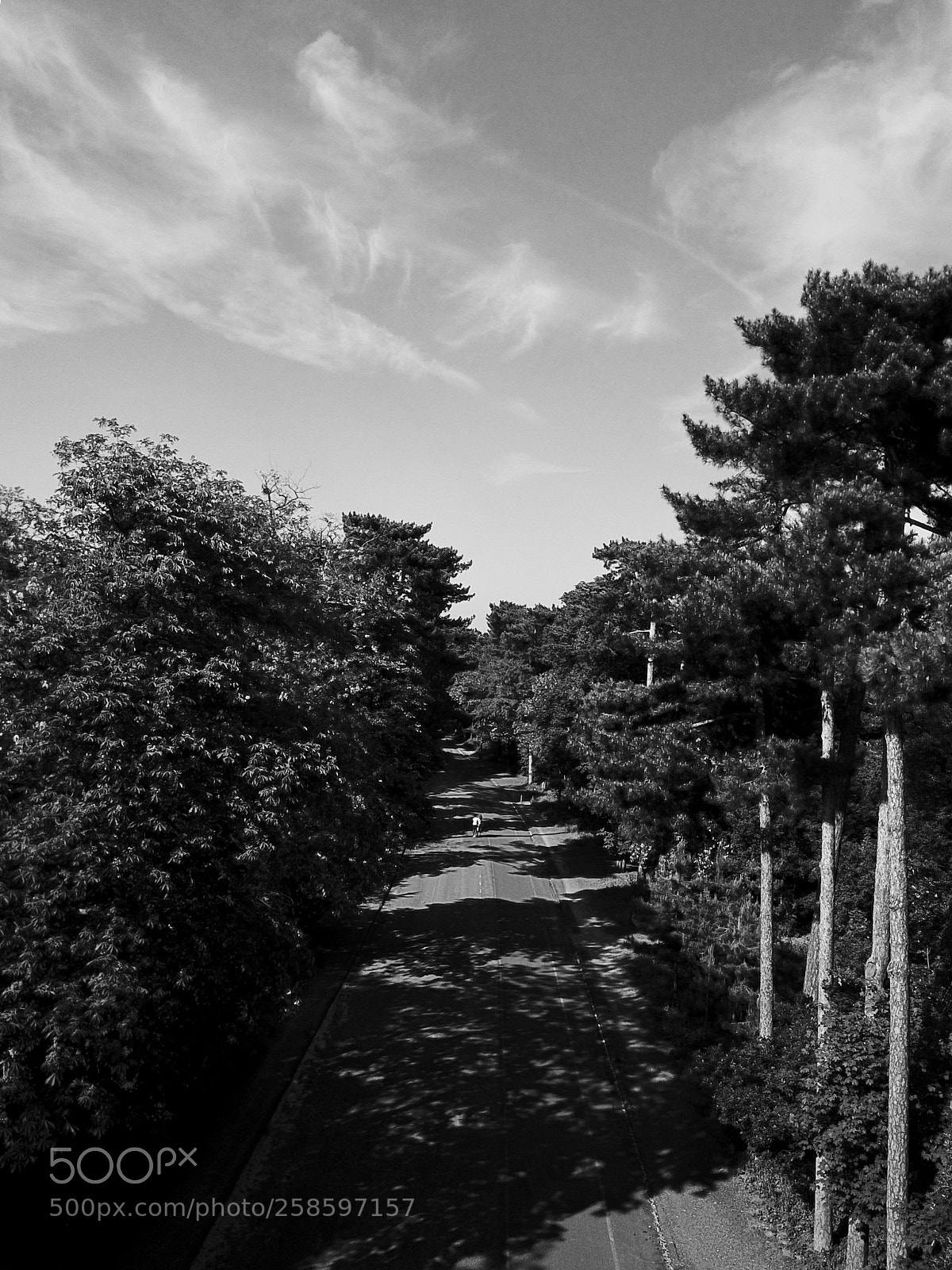 DJI FC220 sample photo. Untitled photography