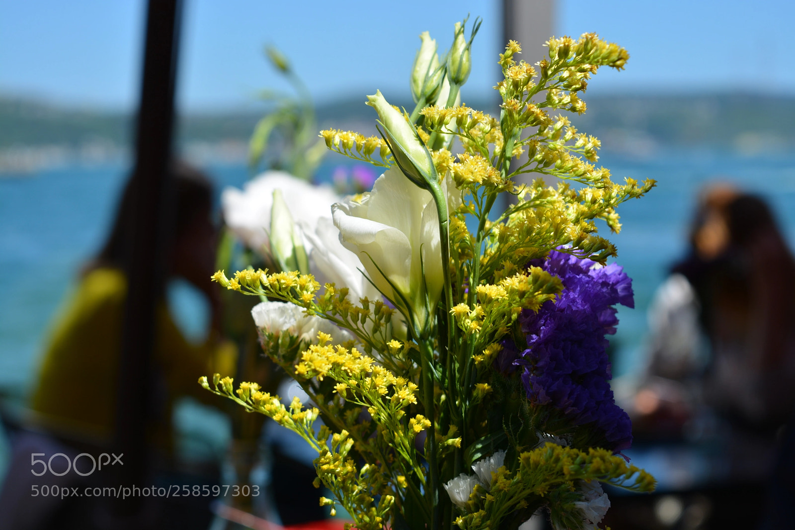 Nikon D5200 sample photo. Flower 1 photography