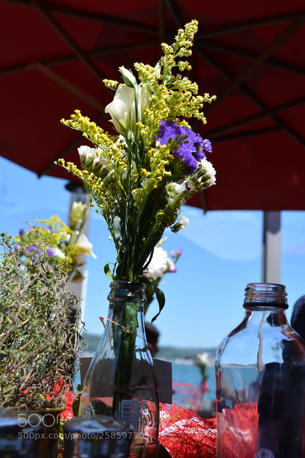 Nikon D5200 sample photo. Flower 2 photography
