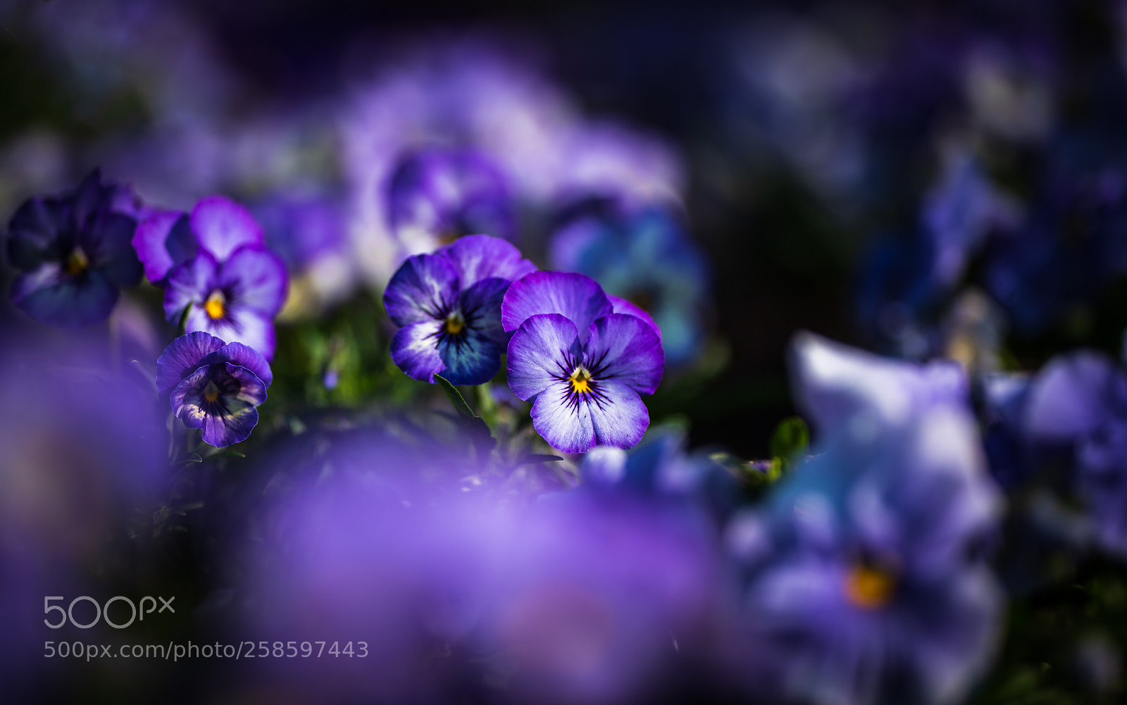 Canon EOS 6D sample photo. Colorful berlin photography