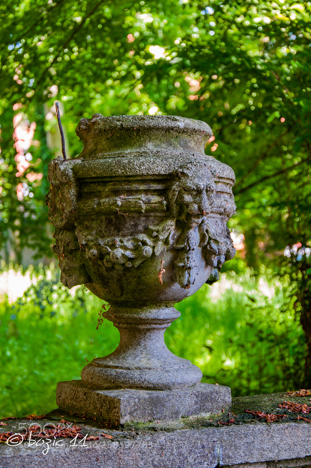 Nikon D90 sample photo. Untitled photography