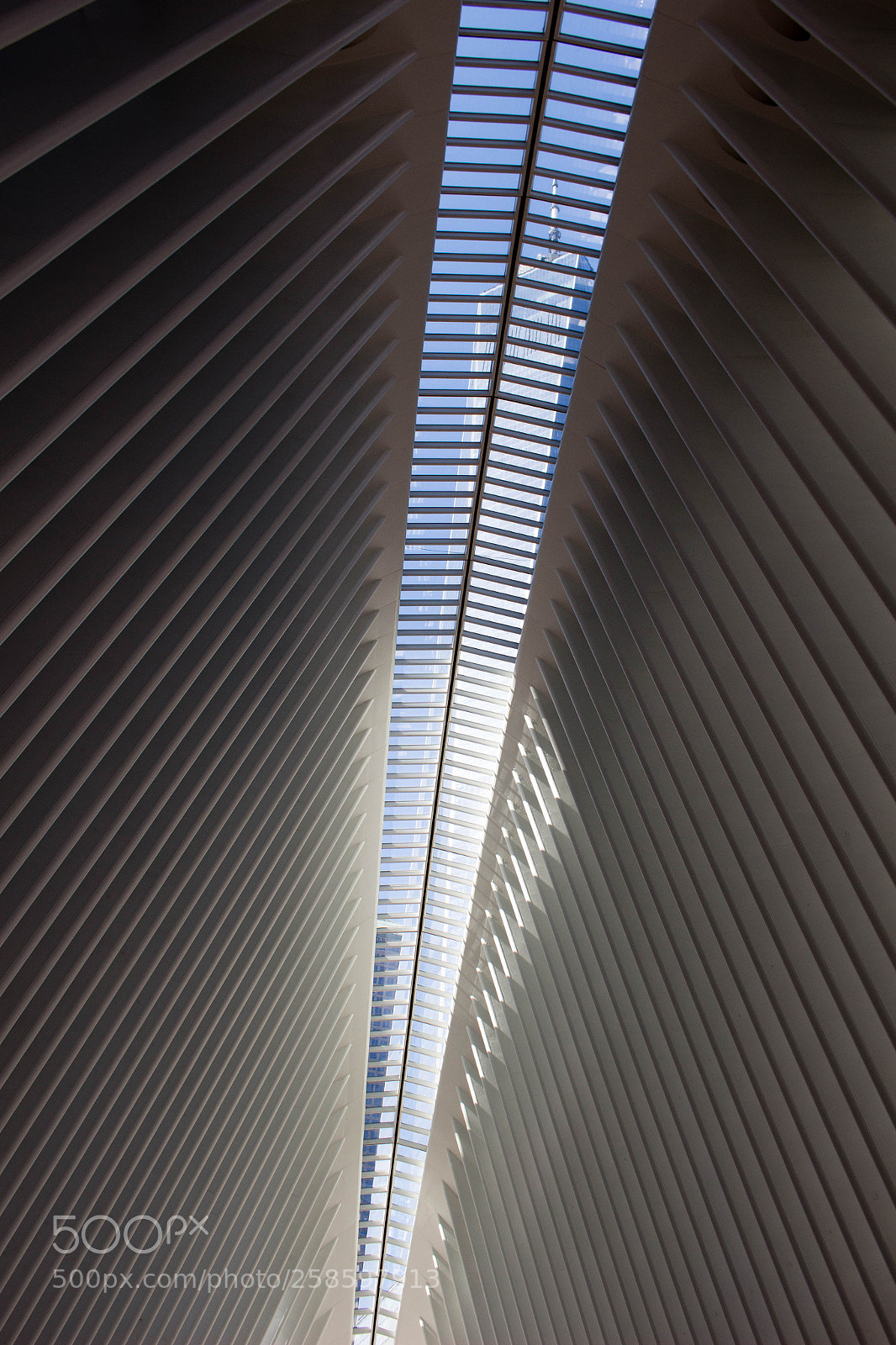 Canon EOS 100D (EOS Rebel SL1 / EOS Kiss X7) sample photo. The oculus photography