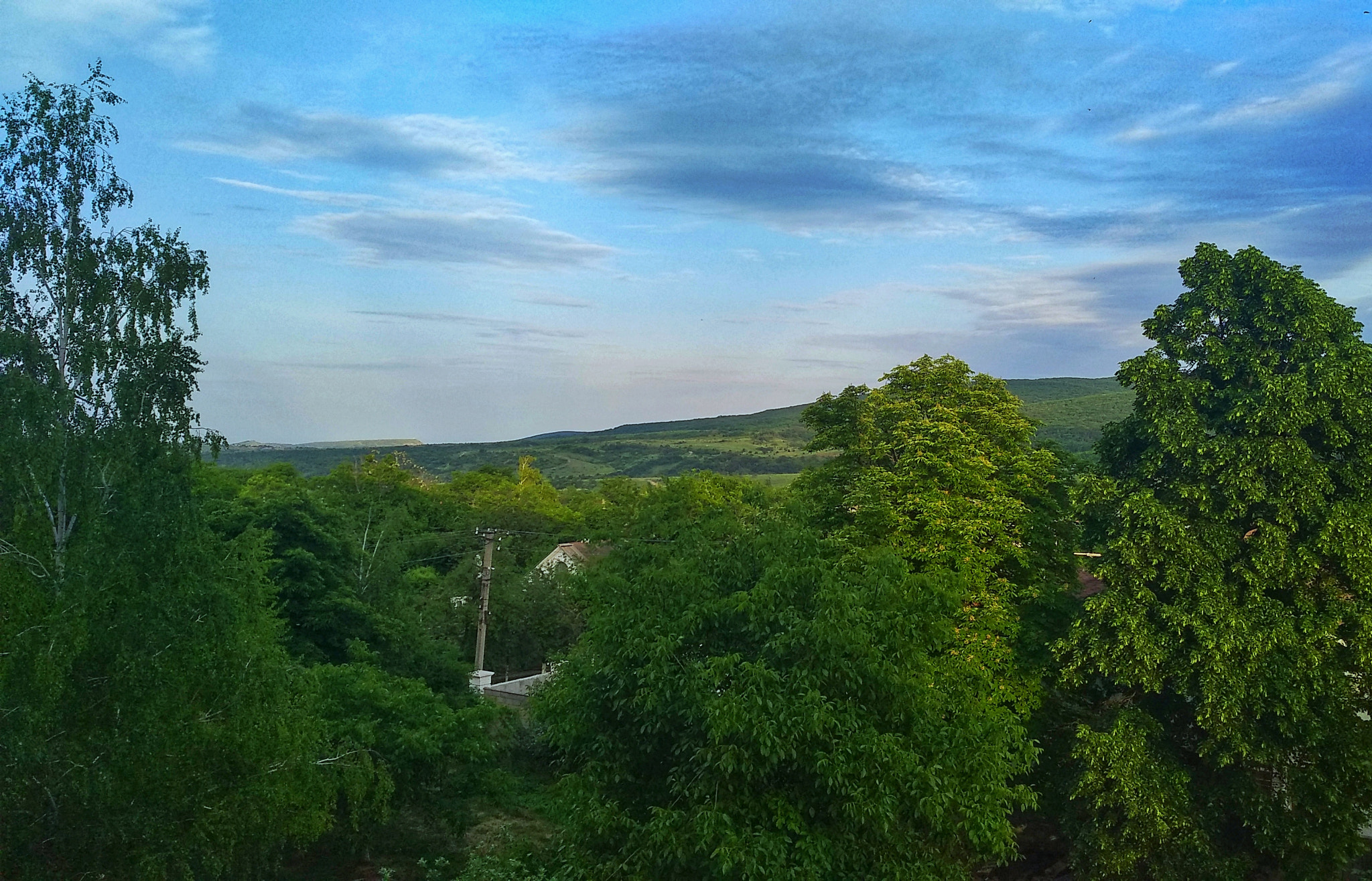 Xiaomi MI MAX 2 sample photo. The city is buried in greenery photography