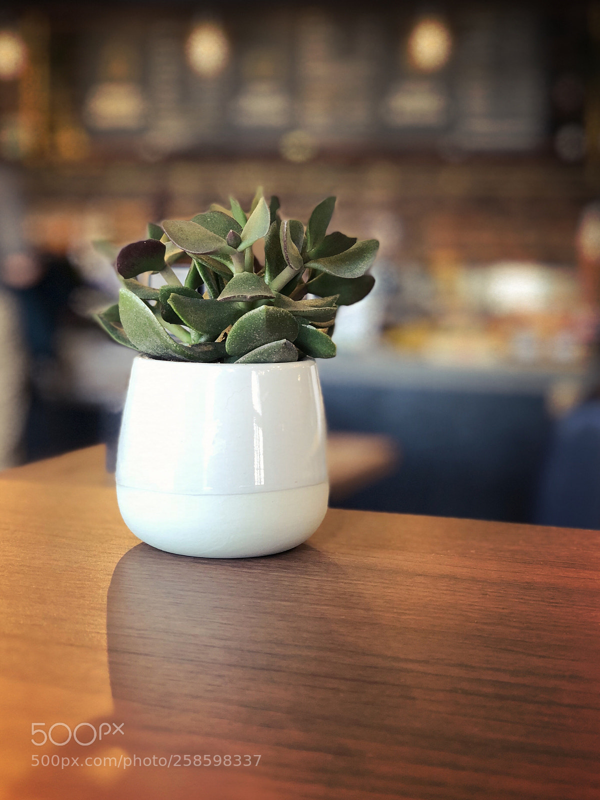 Apple iPhone X sample photo. Beauty in simplicity photography