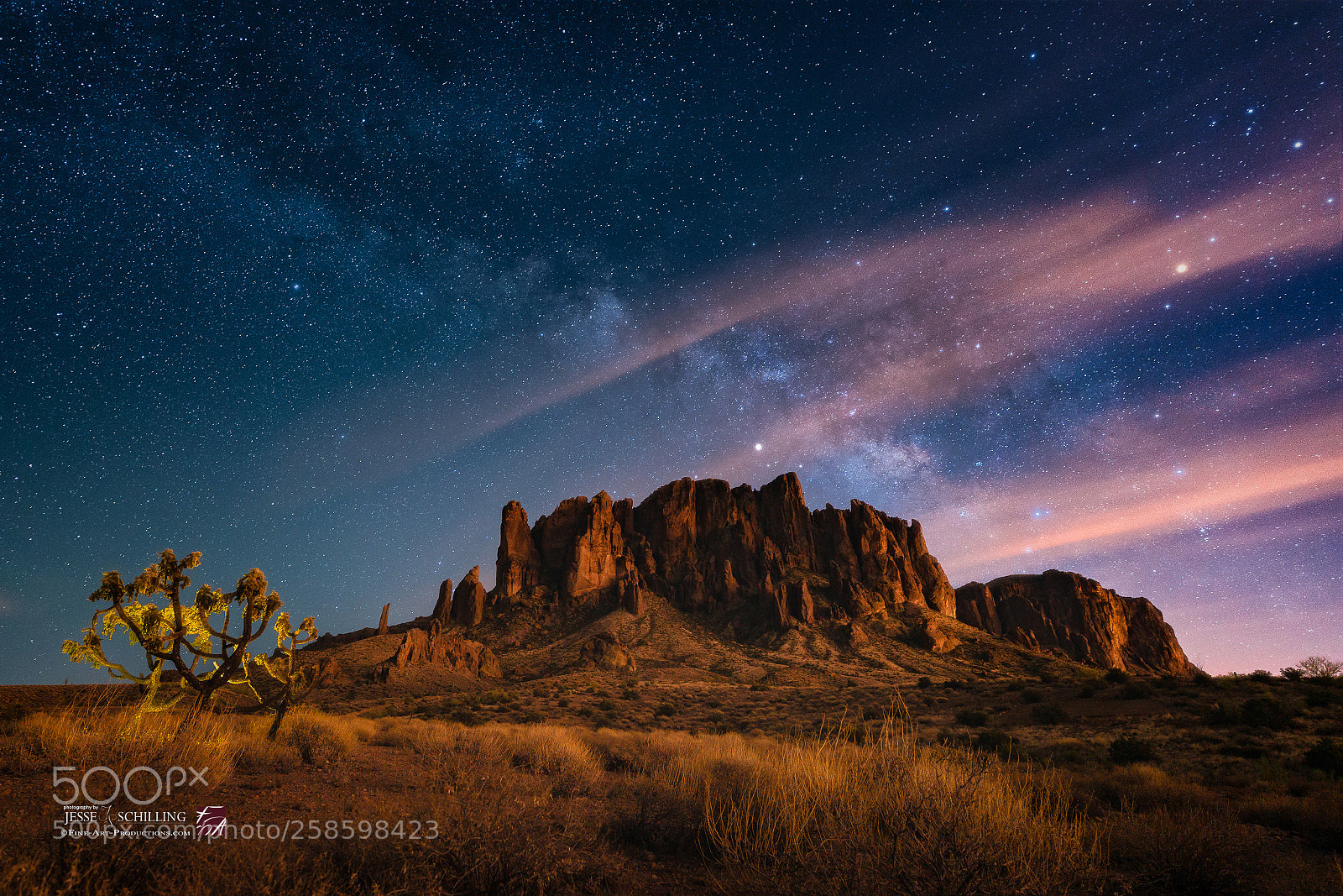 Sony a7R II sample photo. By the light of photography
