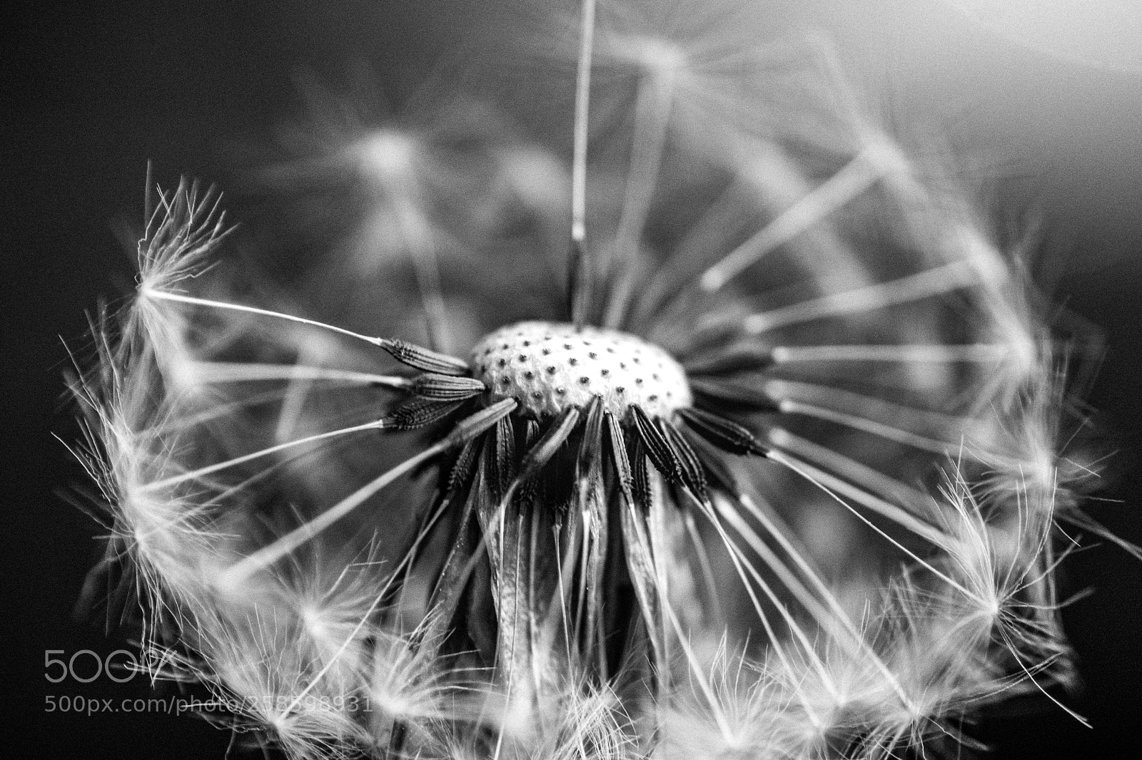 Nikon D5500 sample photo. Inside out photography
