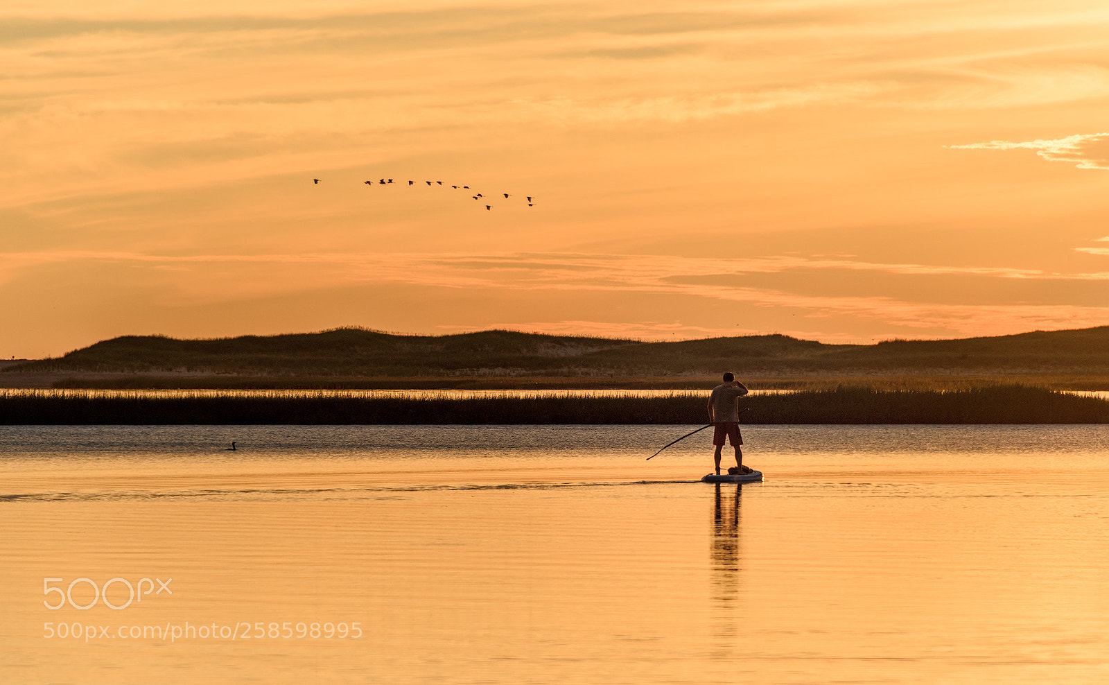 Nikon D810 sample photo. Sunrise paddle photography
