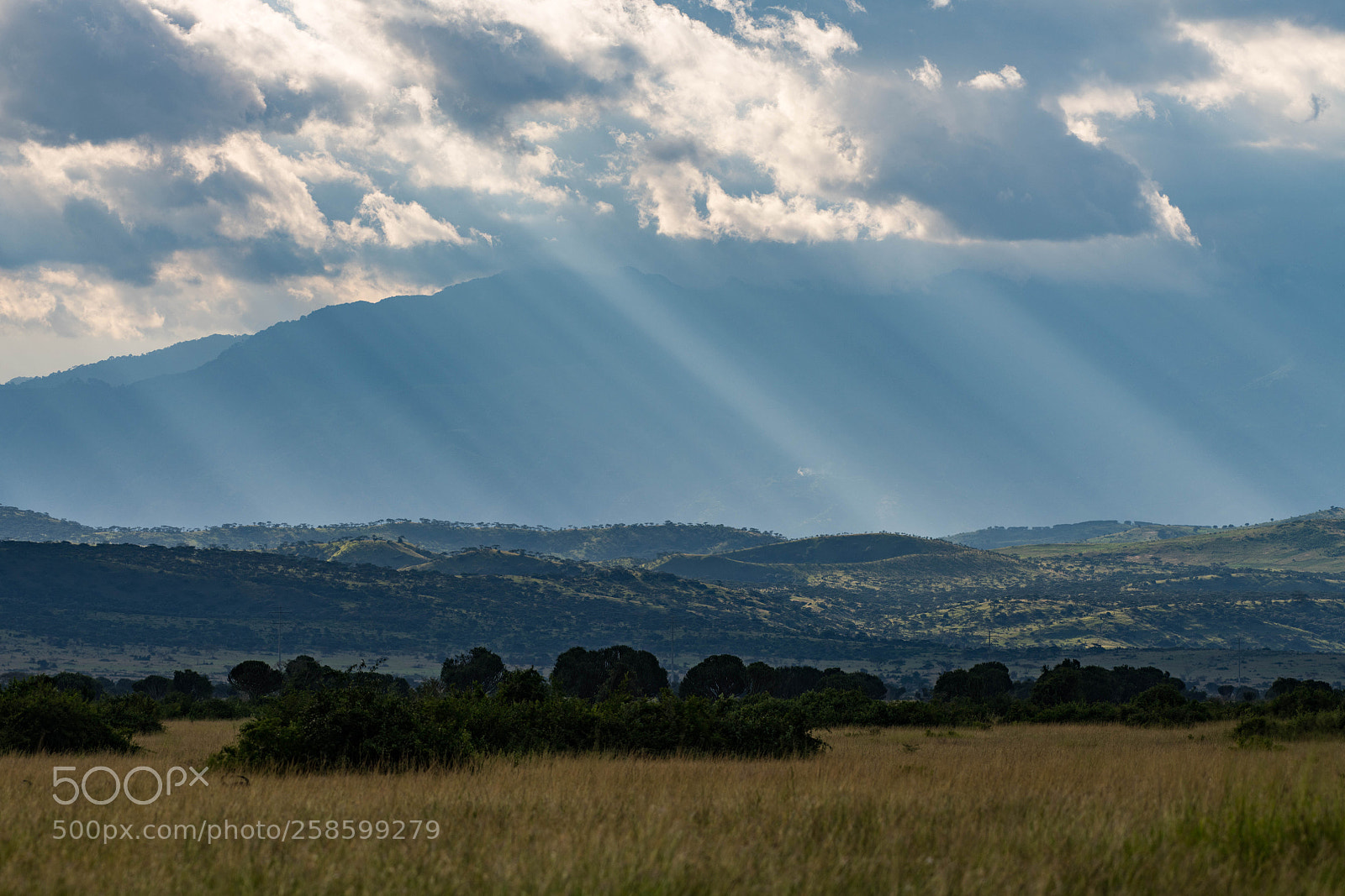 Nikon D850 sample photo. Rwenzori photography