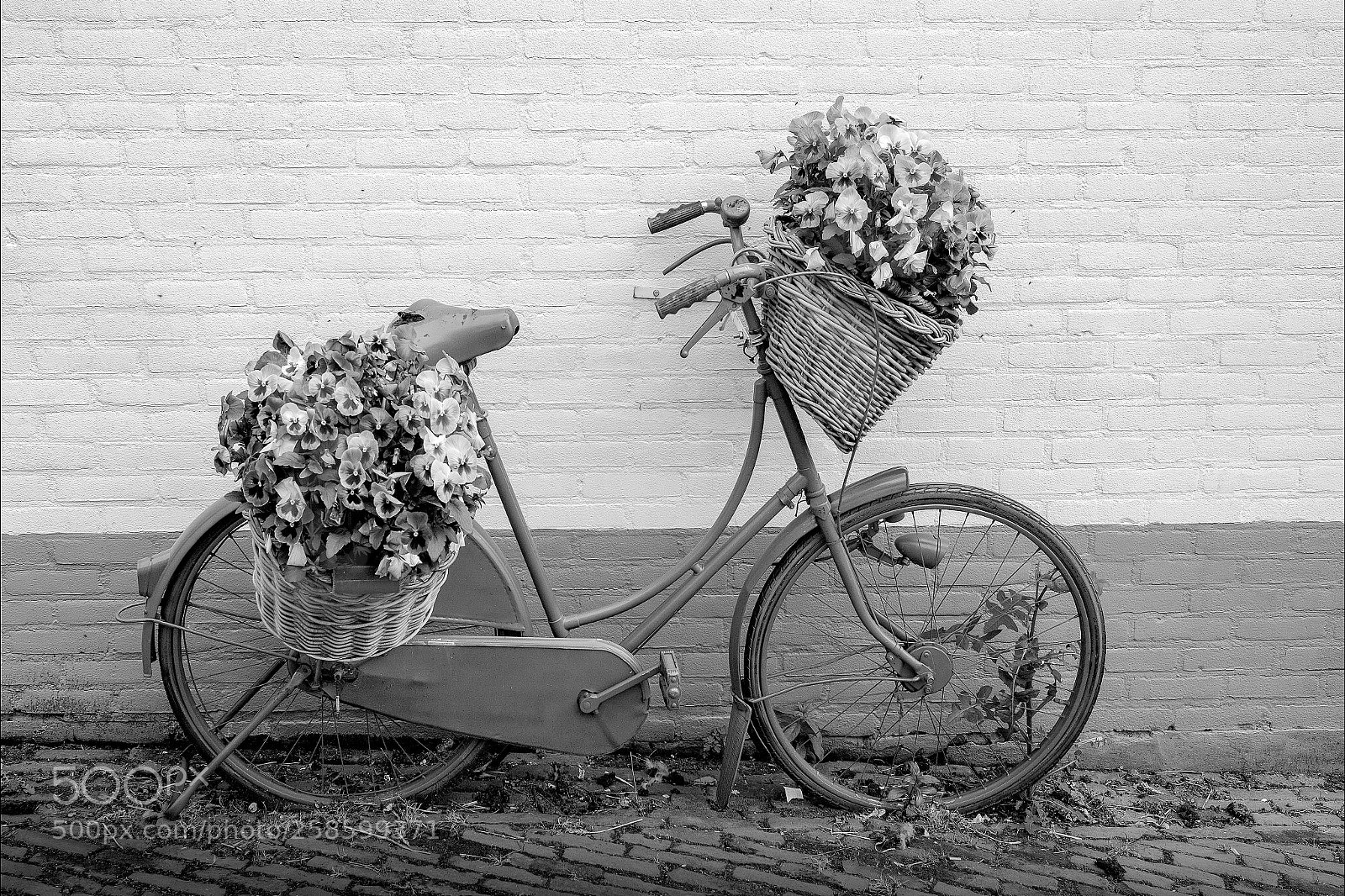 Fujifilm X-Pro2 sample photo. Bycikel with flowers photography