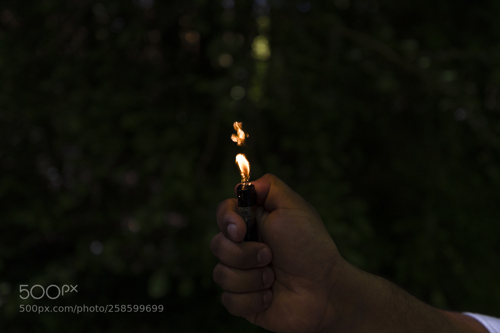 Canon EOS-1D X Mark II sample photo. Flame photography