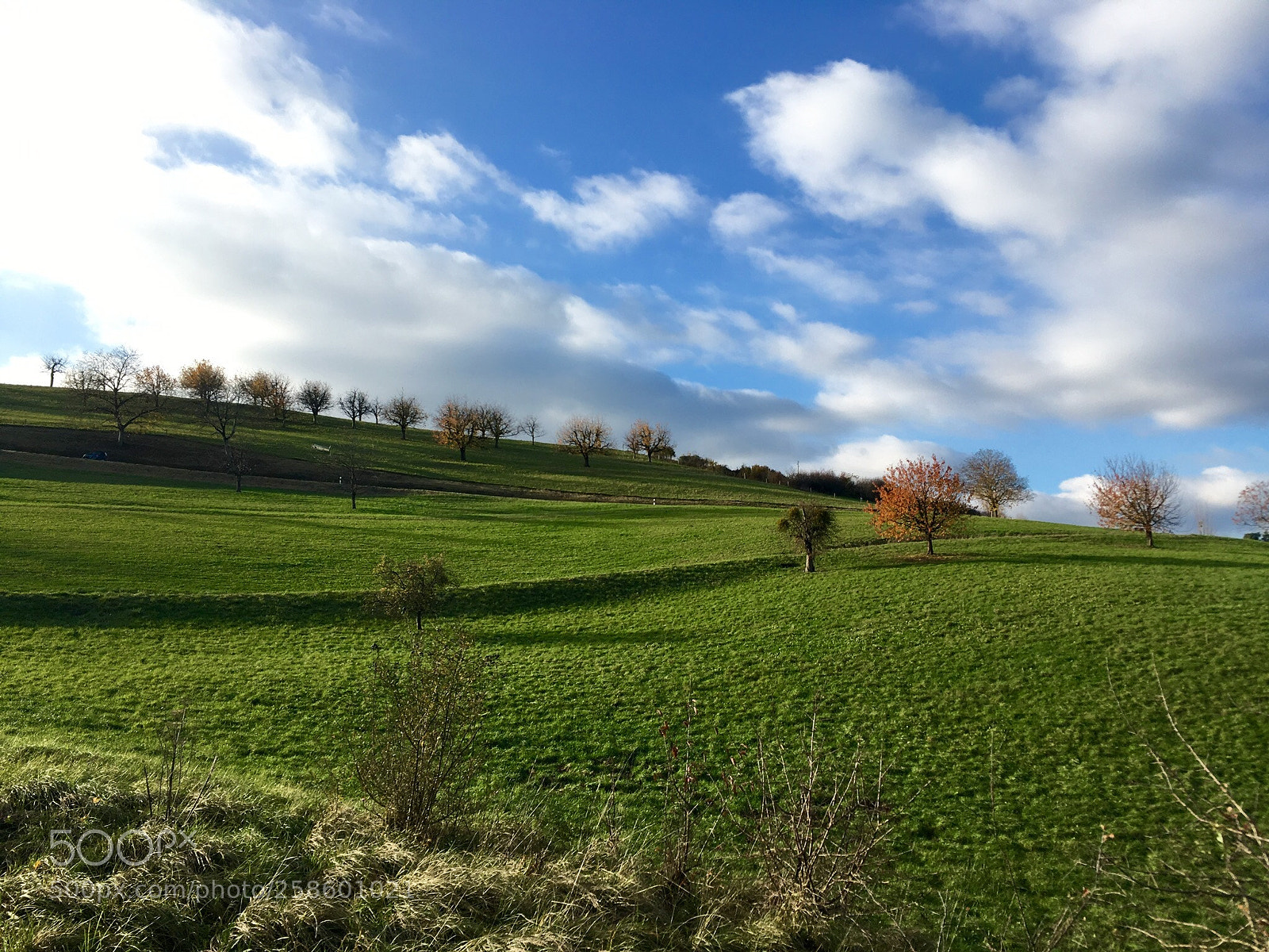 Apple iPhone SE sample photo. -wind of change- photography