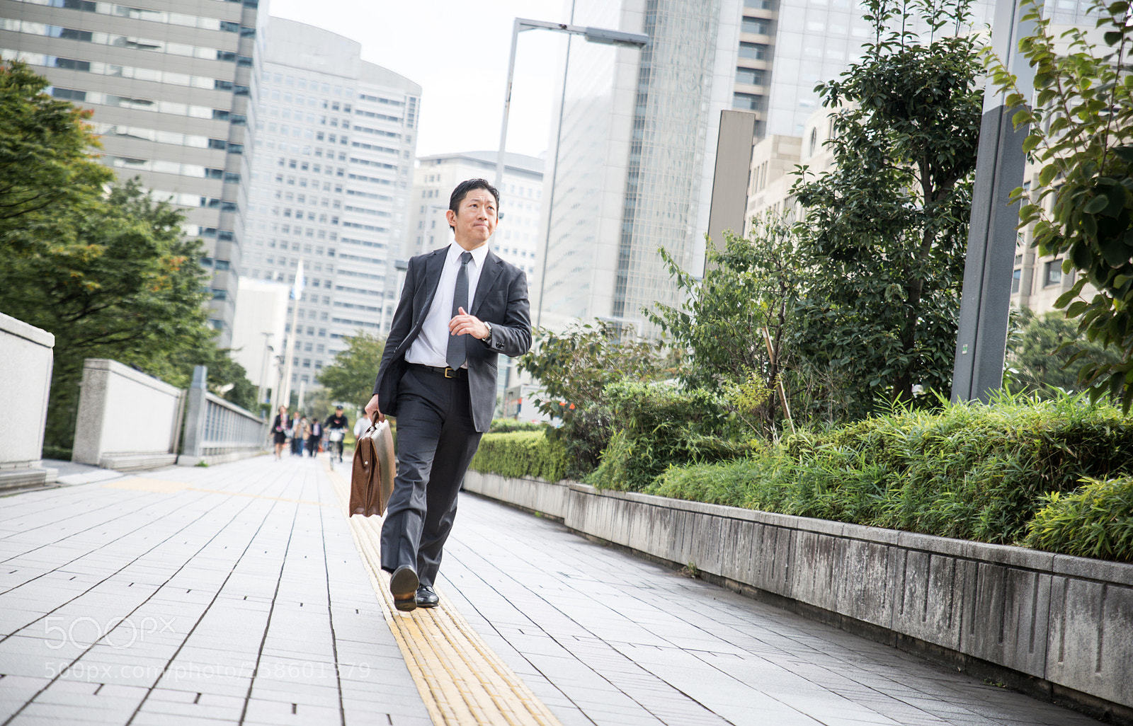 Nikon D610 sample photo. Japanese businessman in tokyo photography