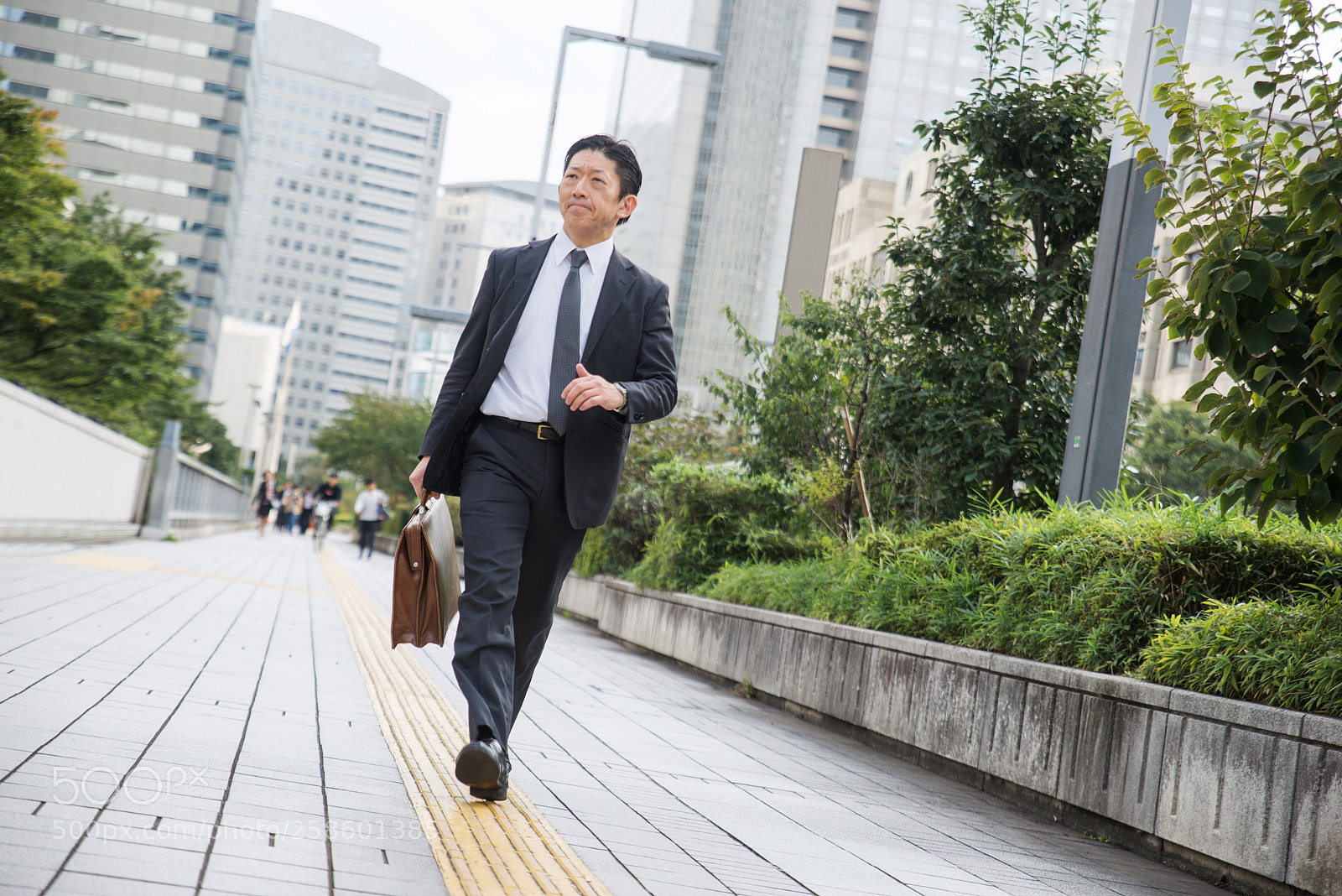 Nikon D610 sample photo. Japanese businessman in tokyo photography