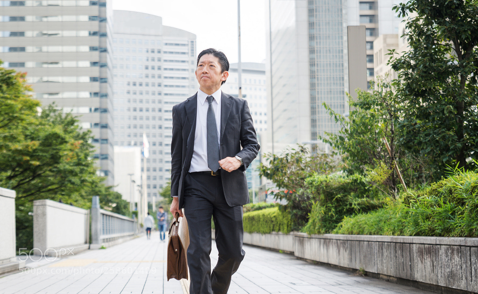 Nikon D610 sample photo. Japanese businessman in tokyo photography