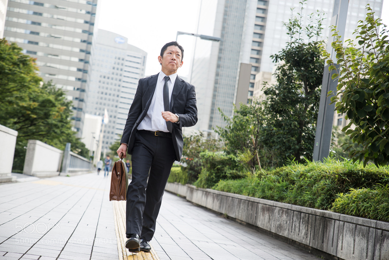 Nikon D610 sample photo. Japanese businessman in tokyo photography