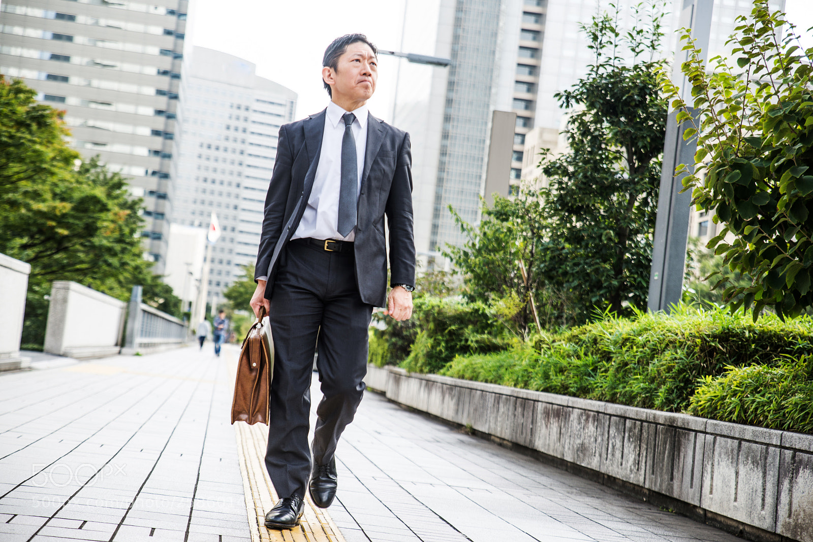 Nikon D610 sample photo. Japanese businessman in tokyo photography