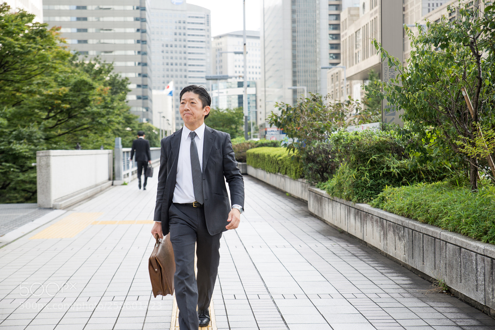 Nikon D610 sample photo. Japanese businessman in tokyo photography