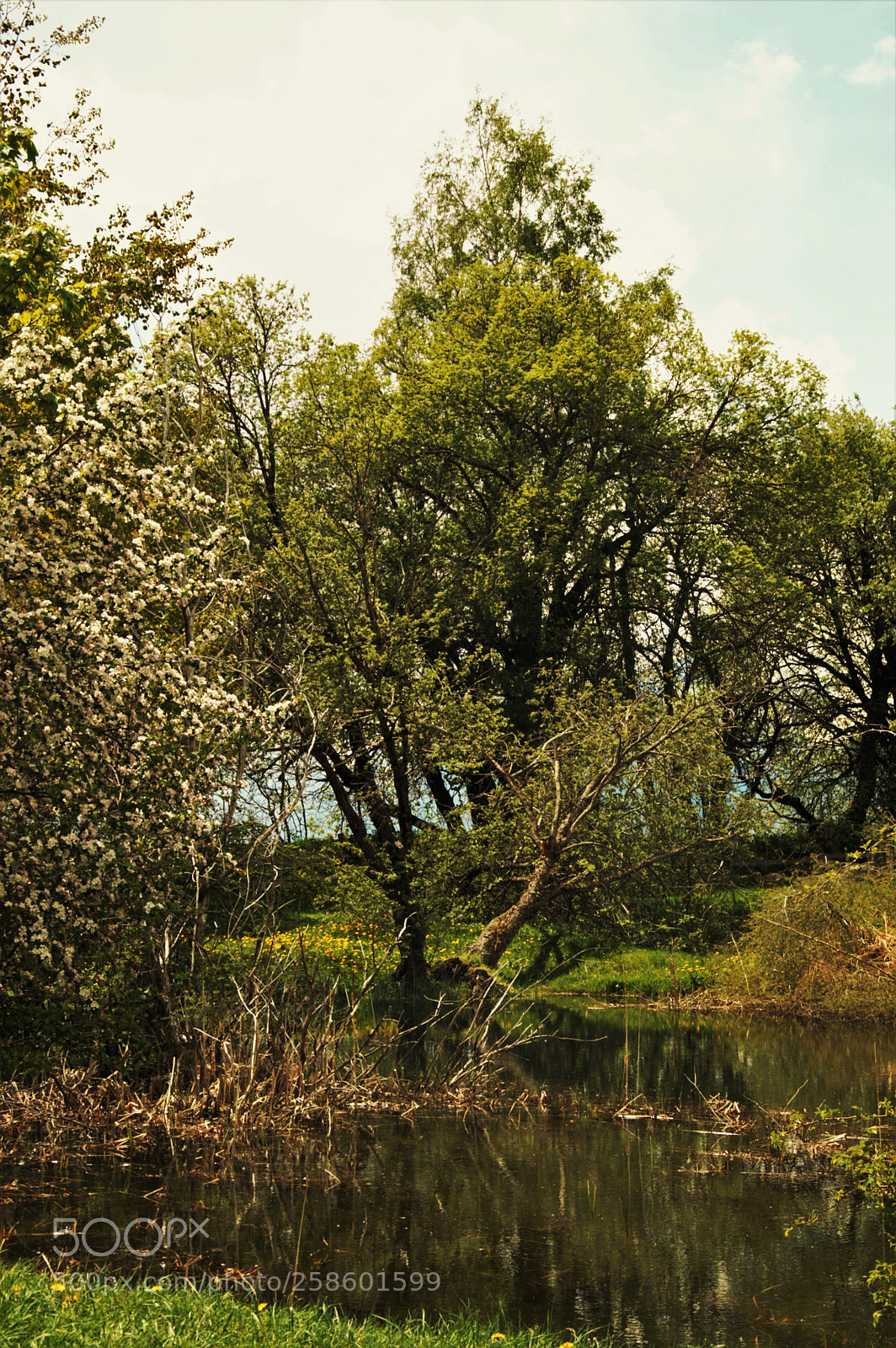 Nikon D3200 sample photo. Untitled photography