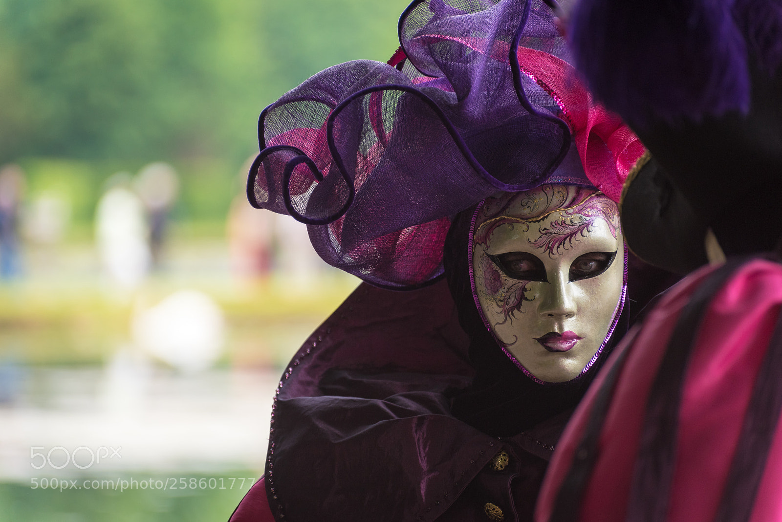 Nikon D750 sample photo. Costumé du jardin d'annevoie photography