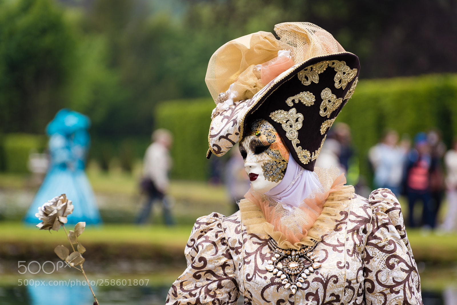 Nikon D750 sample photo. Costumé du jardin d'annevoie photography