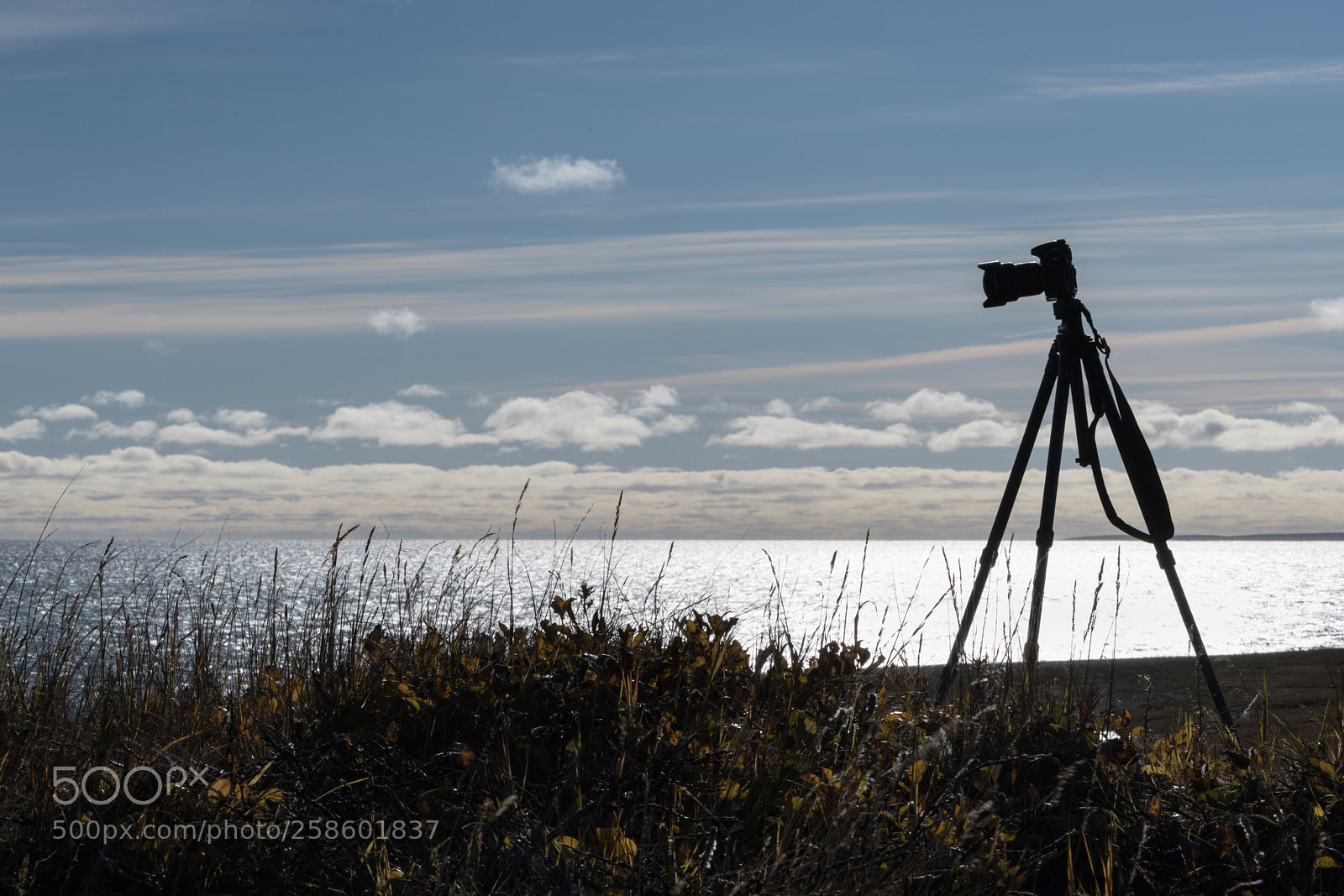Sony a7R II sample photo. Mamchergyrgyn photography