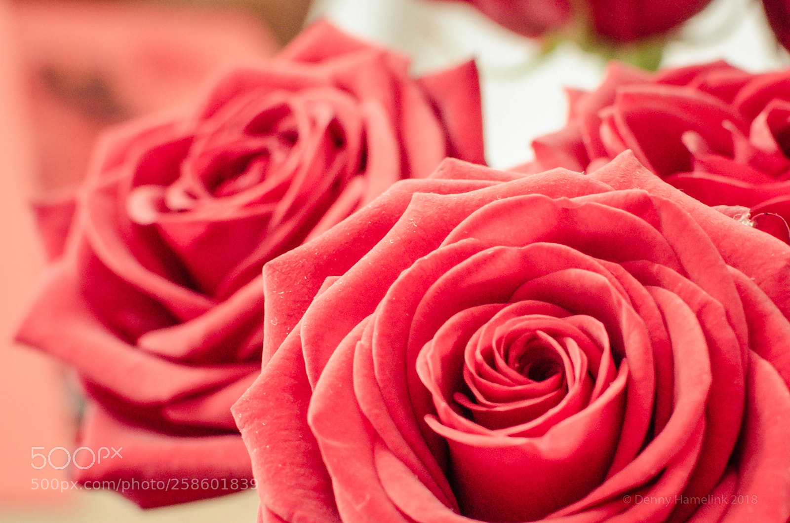 Nikon D7000 sample photo. Almost perfect photography