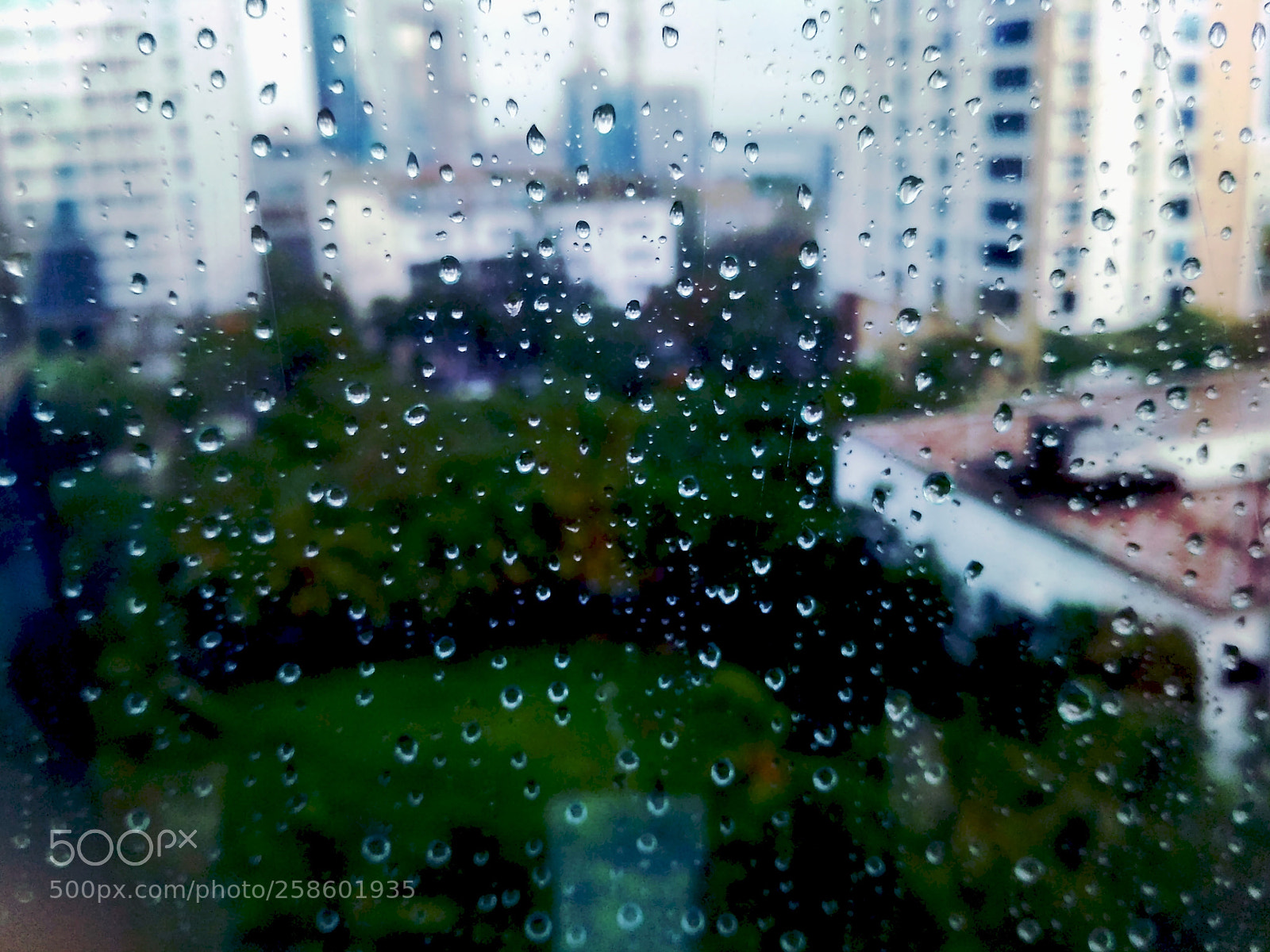 Xiaomi Redmi 3S sample photo. Untitled photography