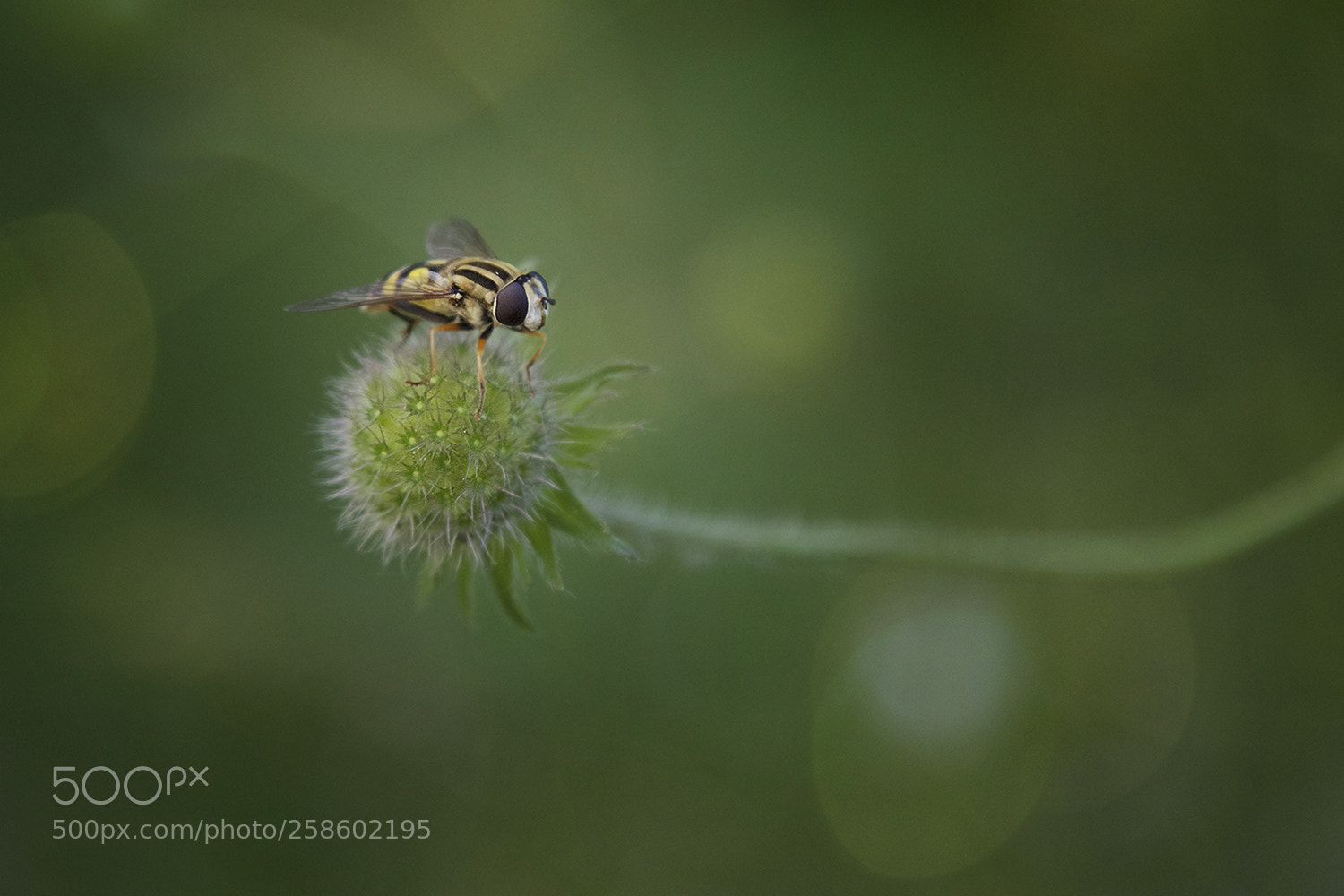 Canon EOS 7D Mark II sample photo. At the end of photography
