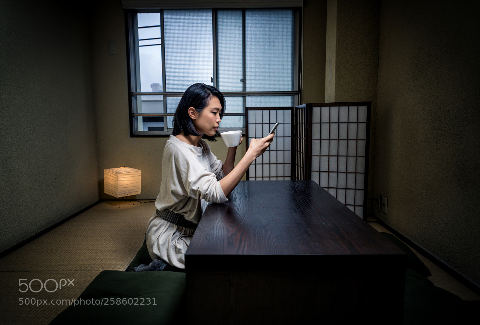 Nikon D610 sample photo. Japanese girl sits at photography