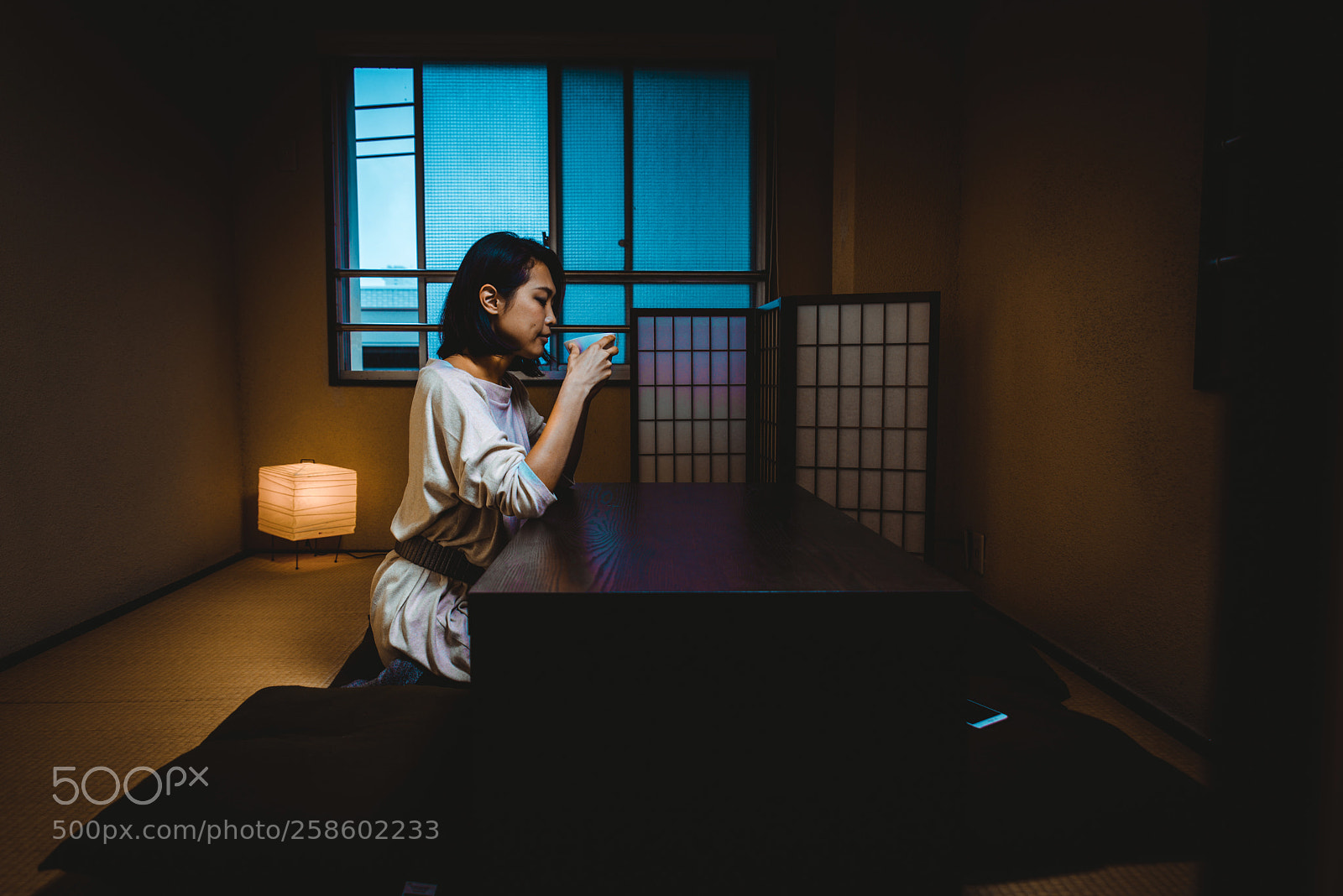 Nikon D610 sample photo. Japanese girl sits at photography