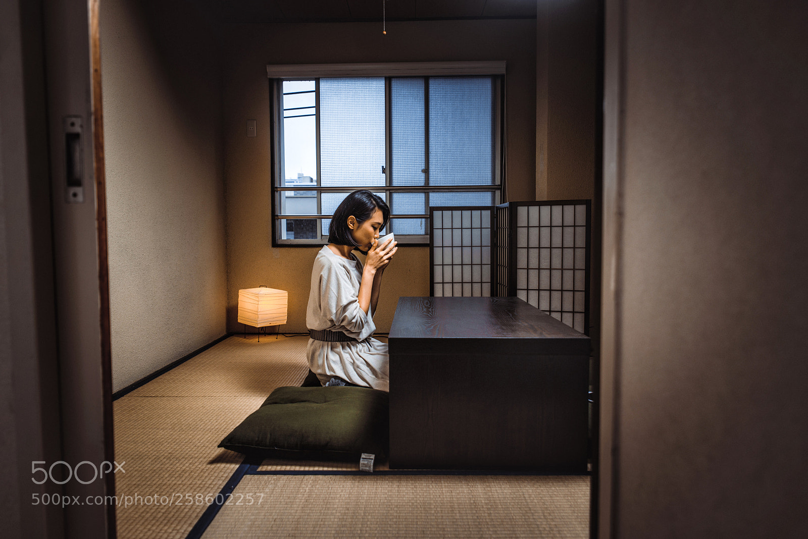 Nikon D610 sample photo. Japanese girl sits at photography