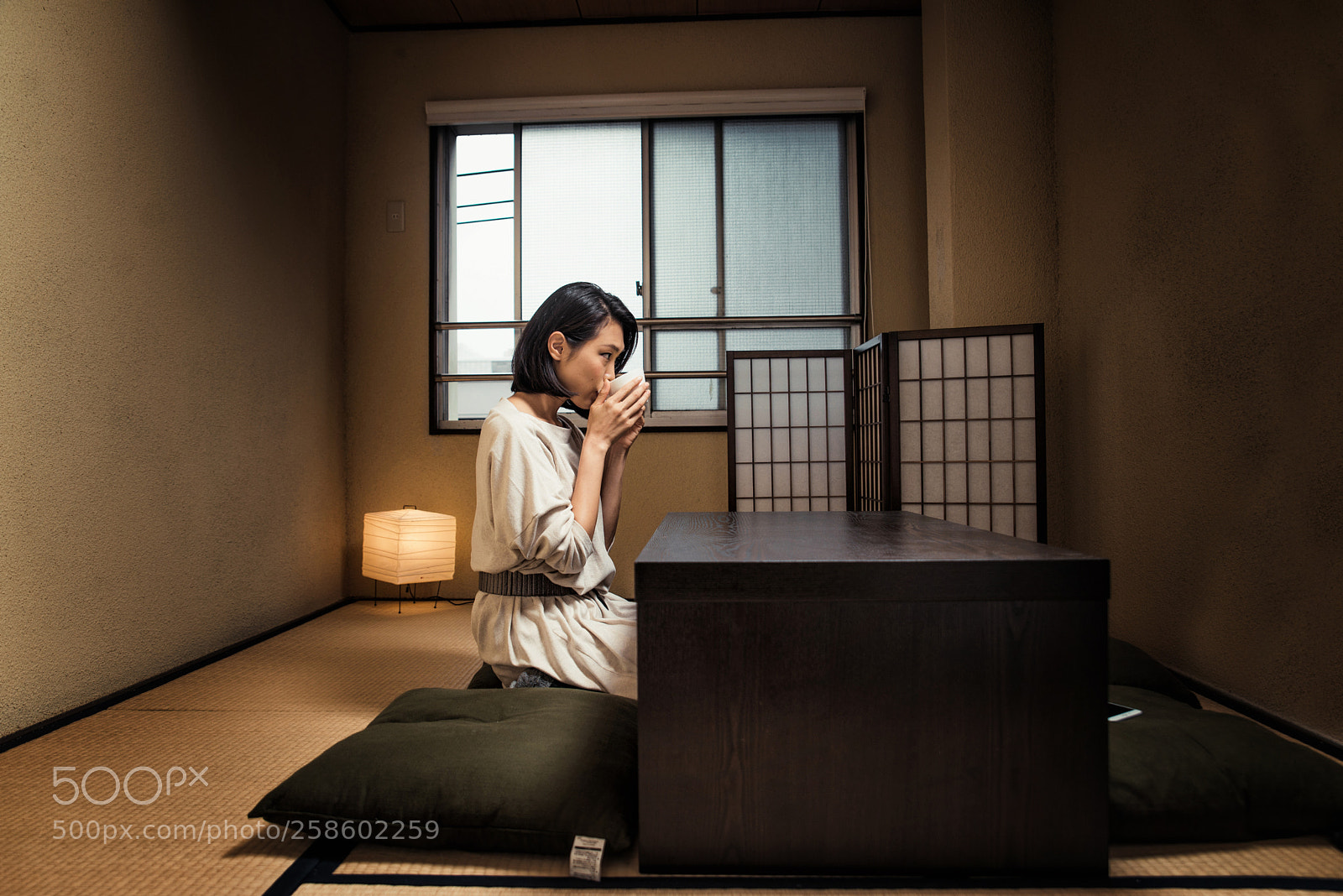 Nikon D610 sample photo. Japanese girl sits at photography