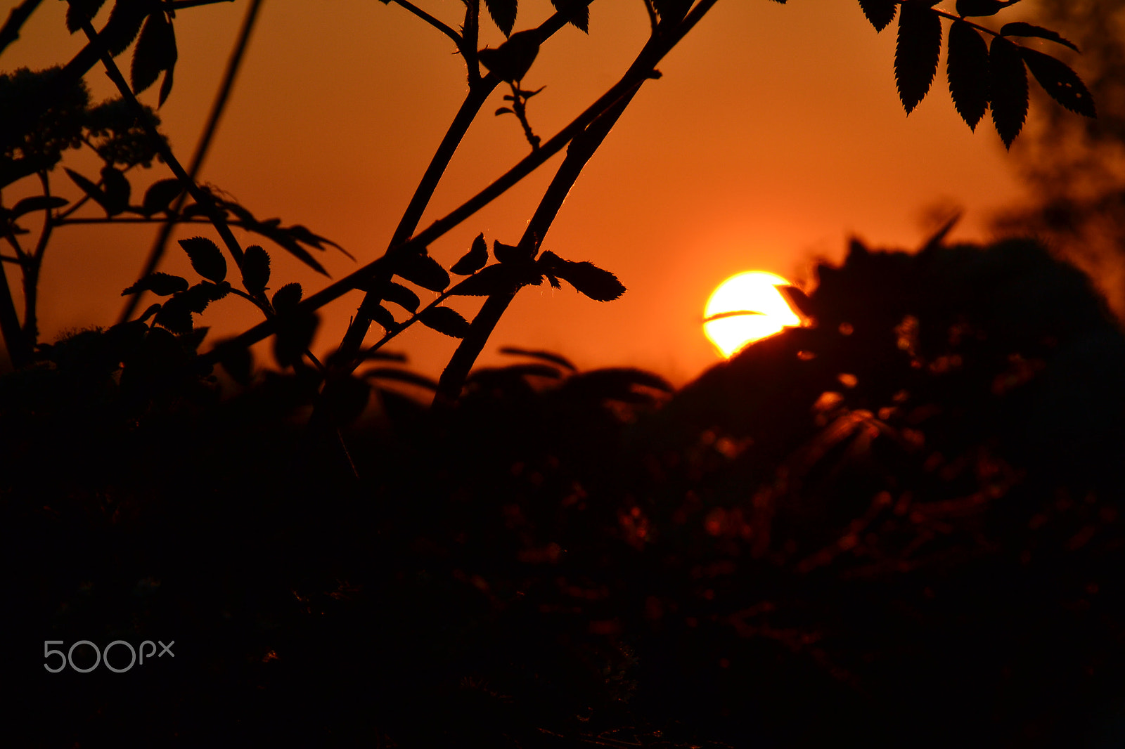 Nikon D3100 sample photo. Sundown photography