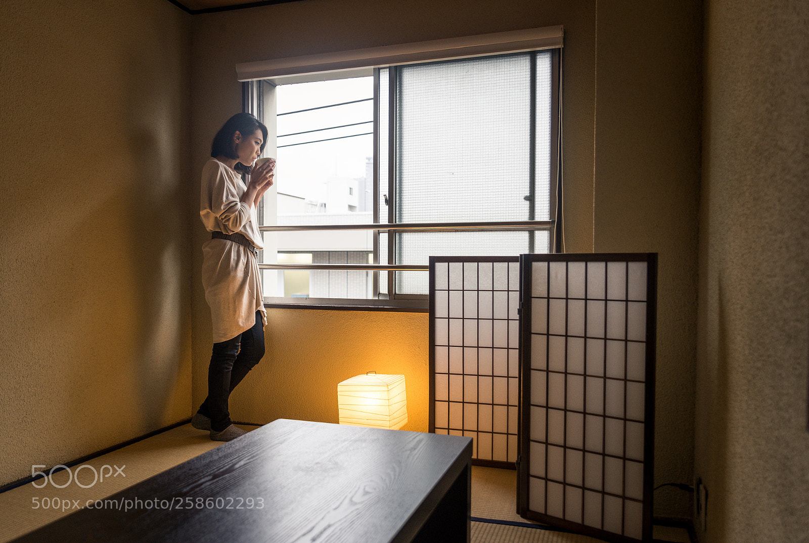 Nikon D610 sample photo. Japanese girl sits at photography