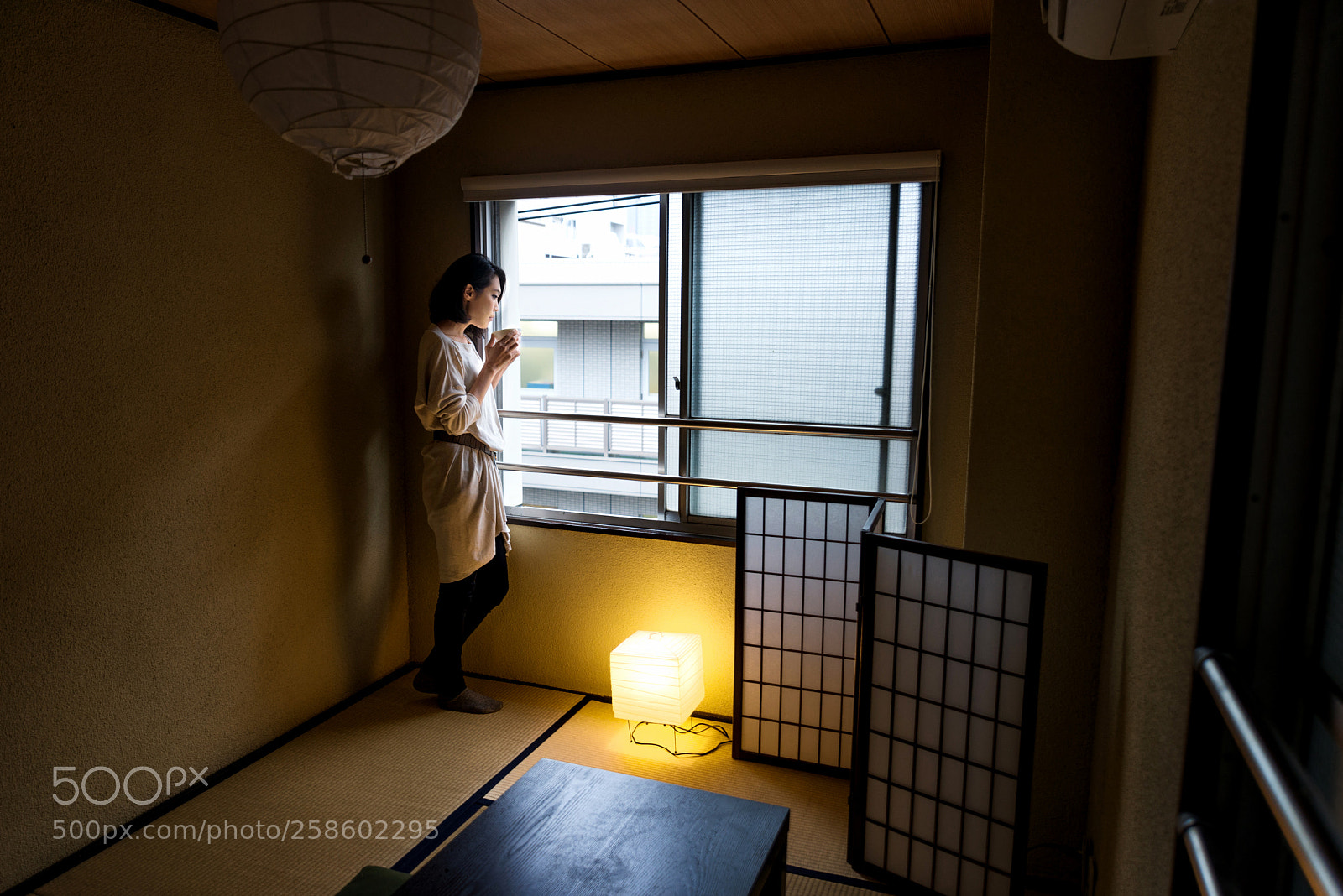 Nikon D610 sample photo. Japanese girl sits at photography