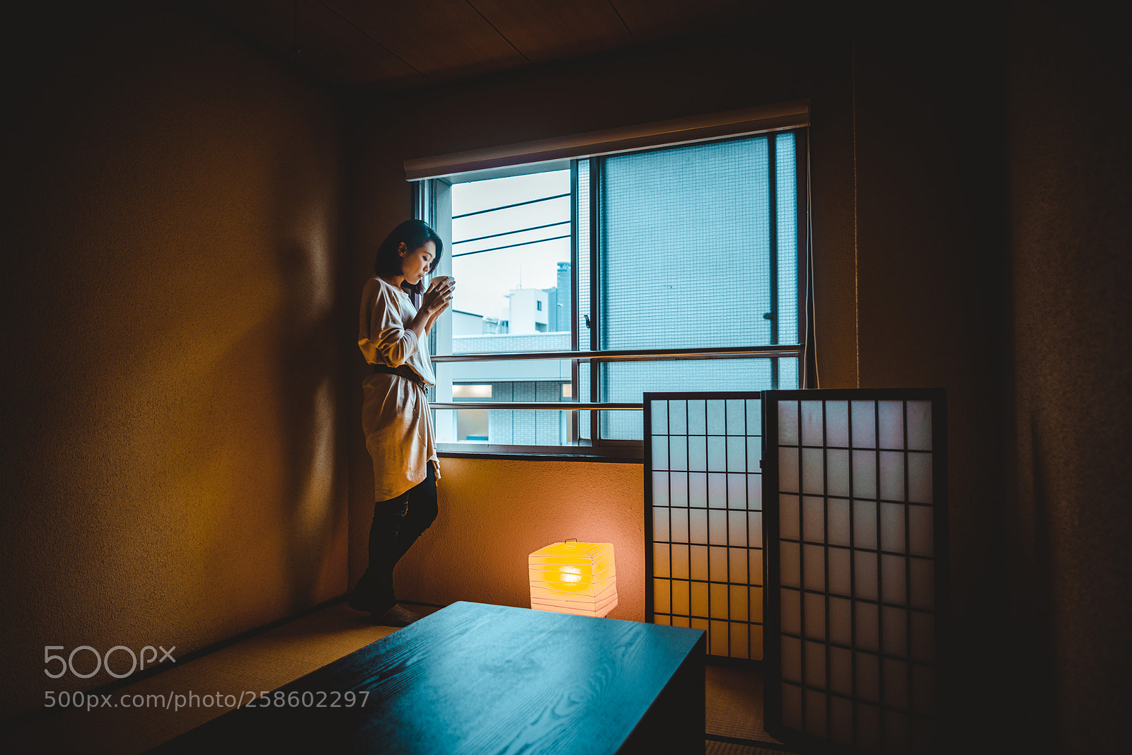 Nikon D610 sample photo. Japanese girl sits at photography