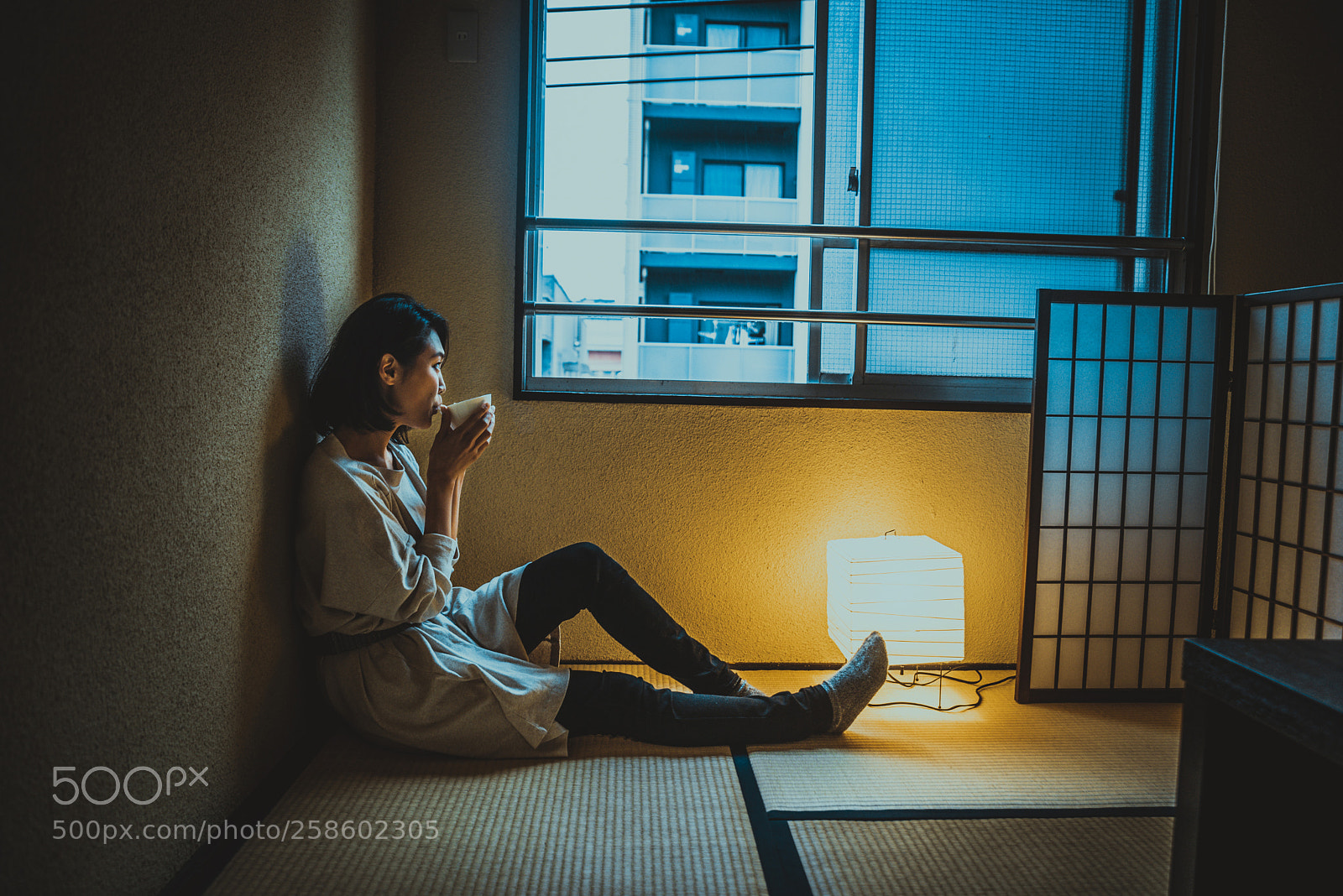 Nikon D610 sample photo. Japanese girl sits at photography