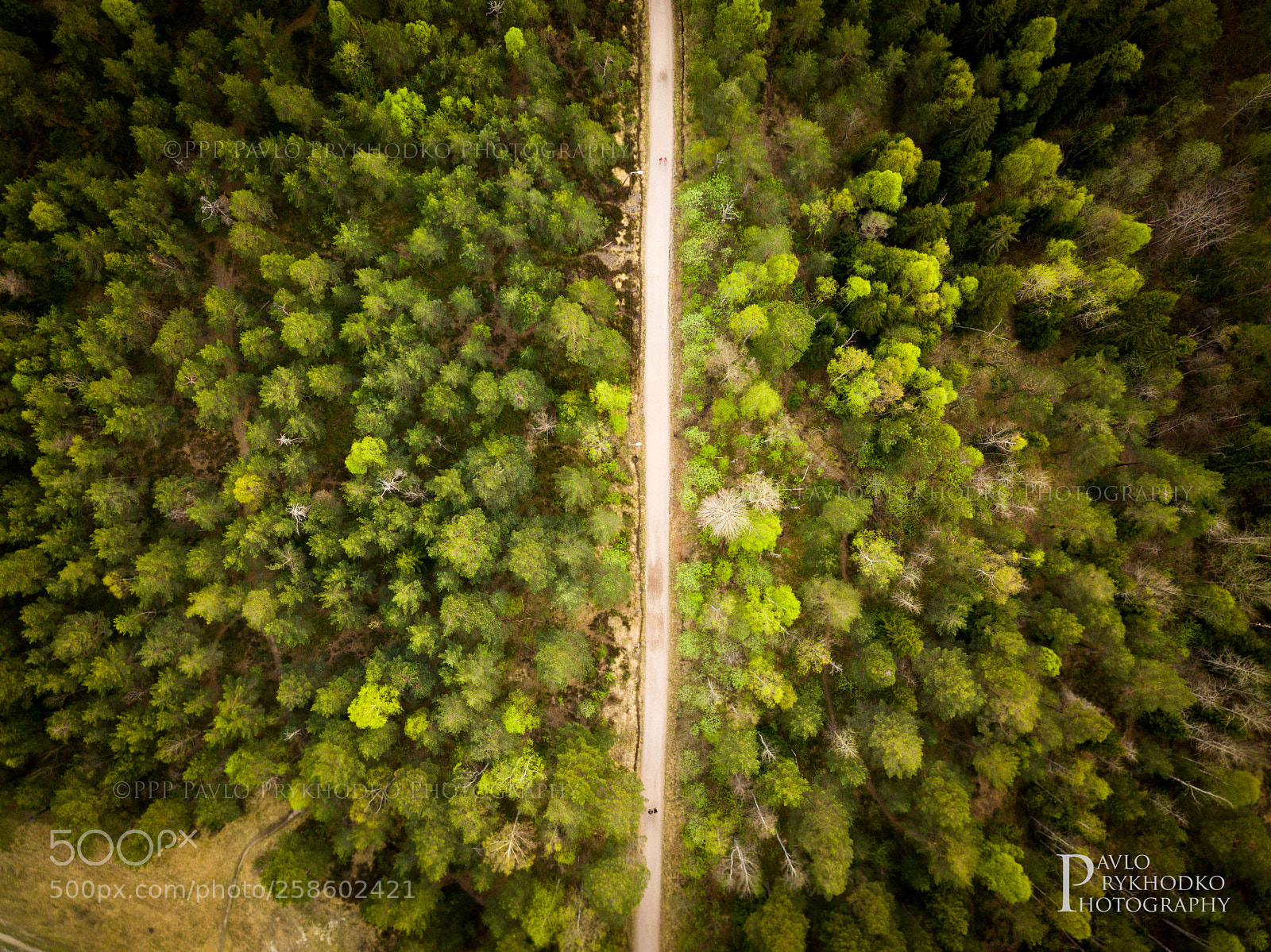 DJI FC220 sample photo. Fifty-50 photography