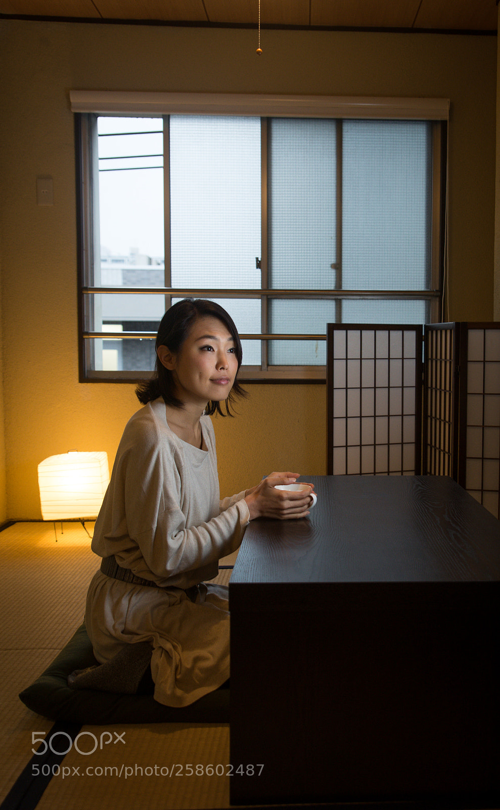Nikon D610 sample photo. Japanese girl sits at photography